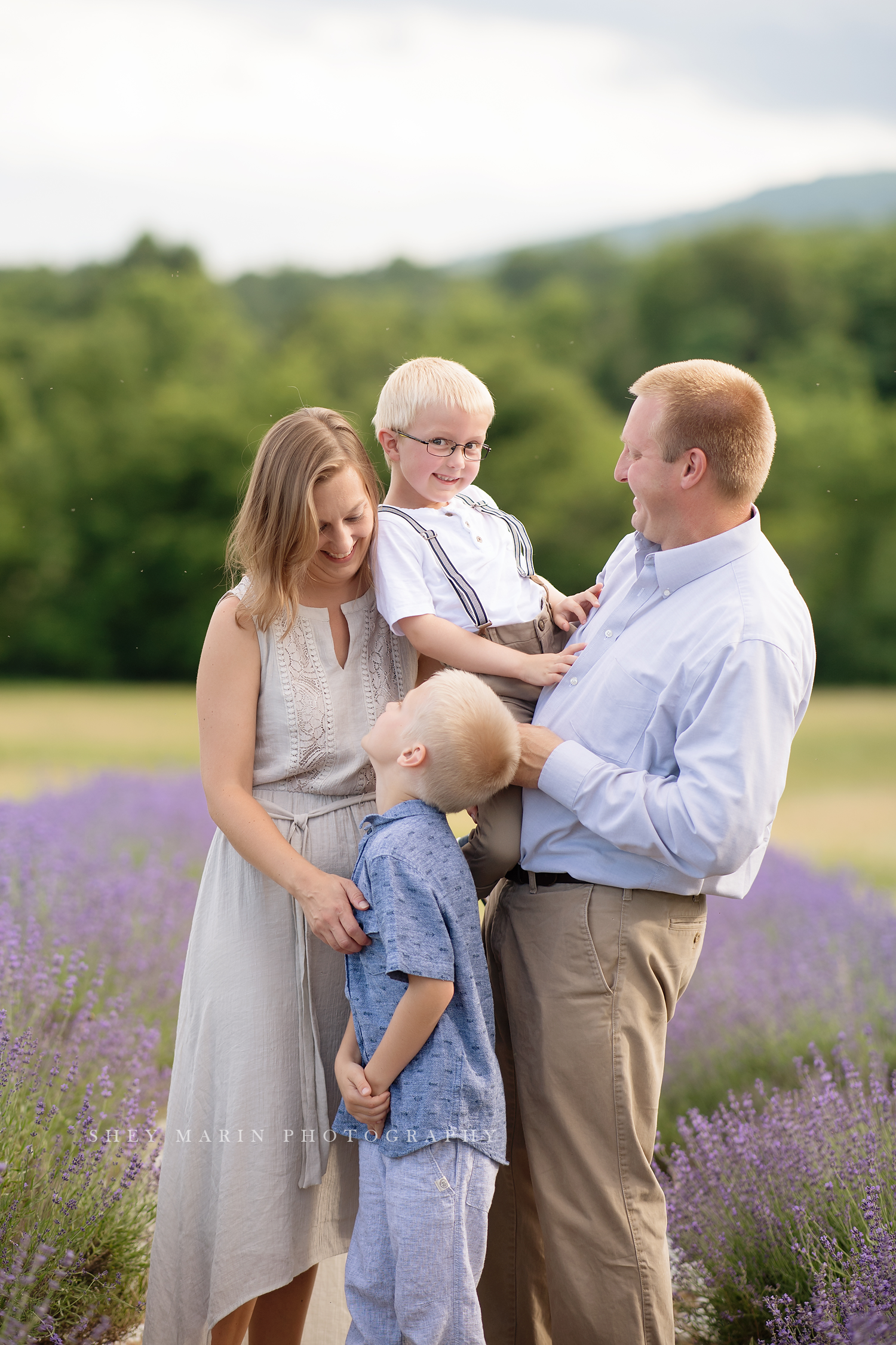 lavender field frederick maryland family photo session