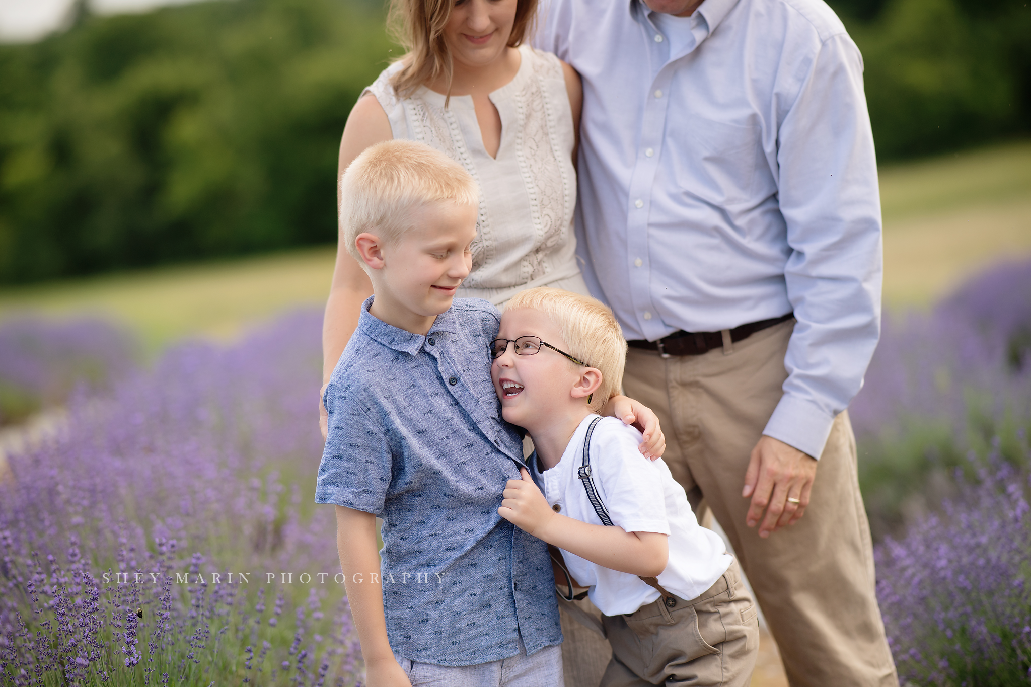 lavender field frederick maryland family photo session