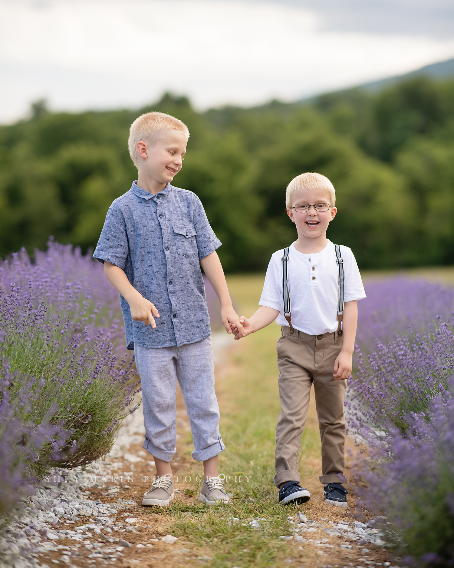 lavender field frederick maryland family photo session