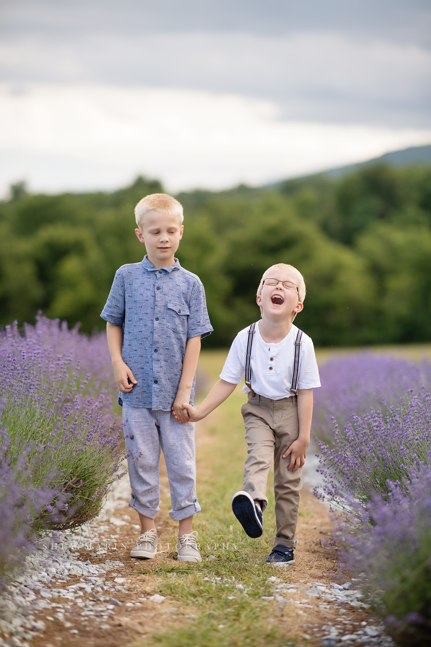 lavender field frederick maryland family photo session