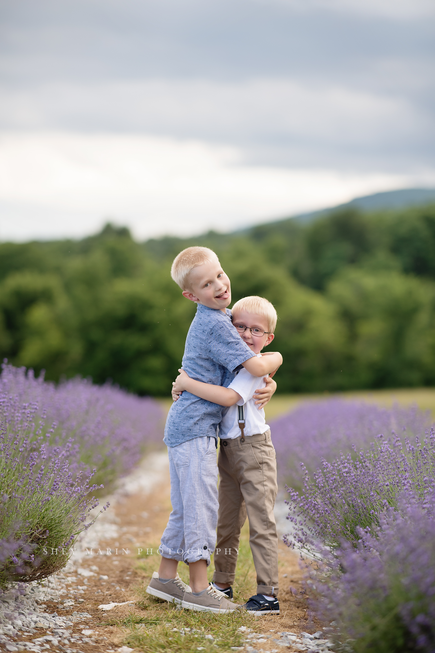 lavender field frederick maryland family photo session