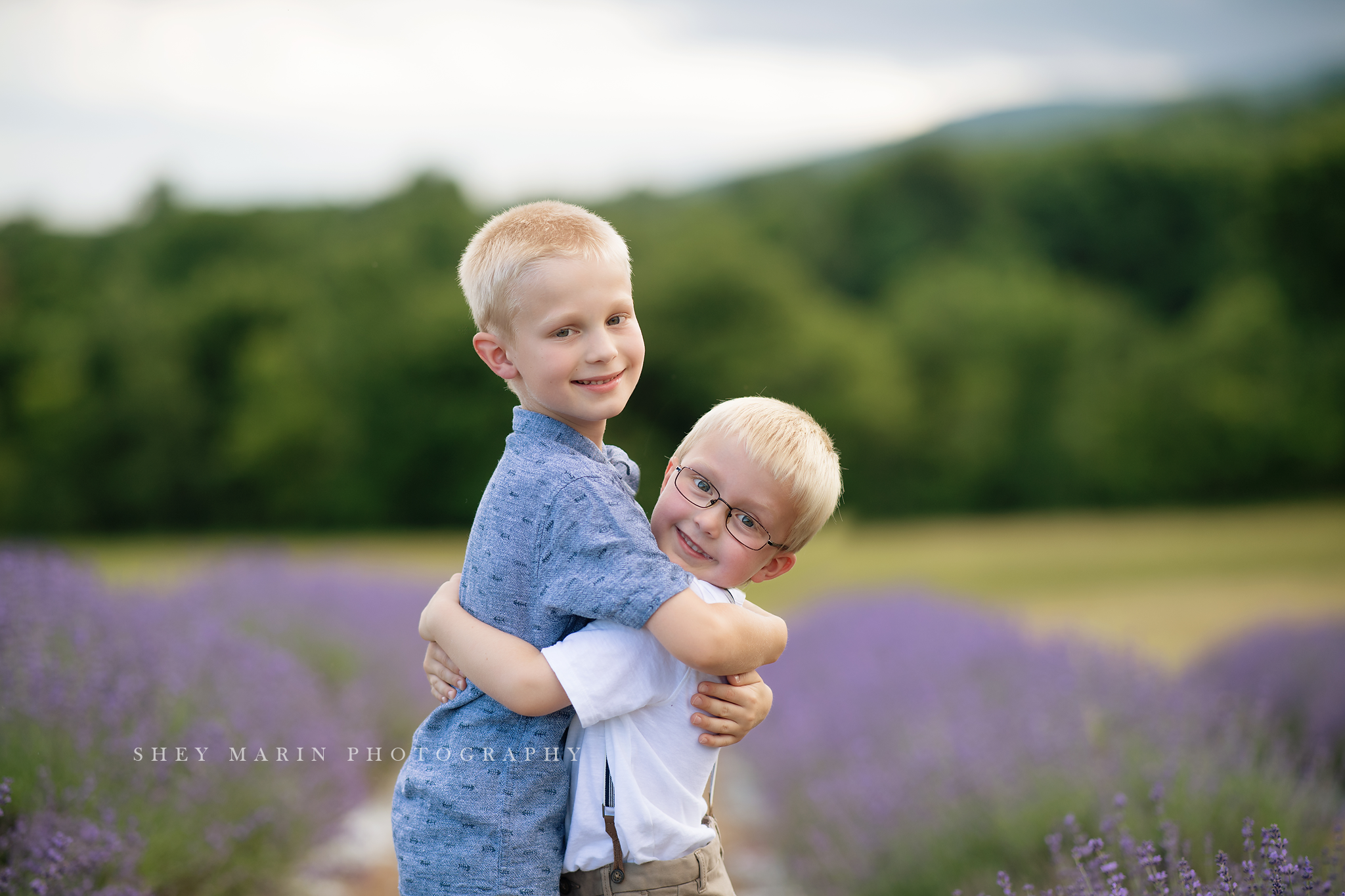 lavender field frederick maryland family photo session