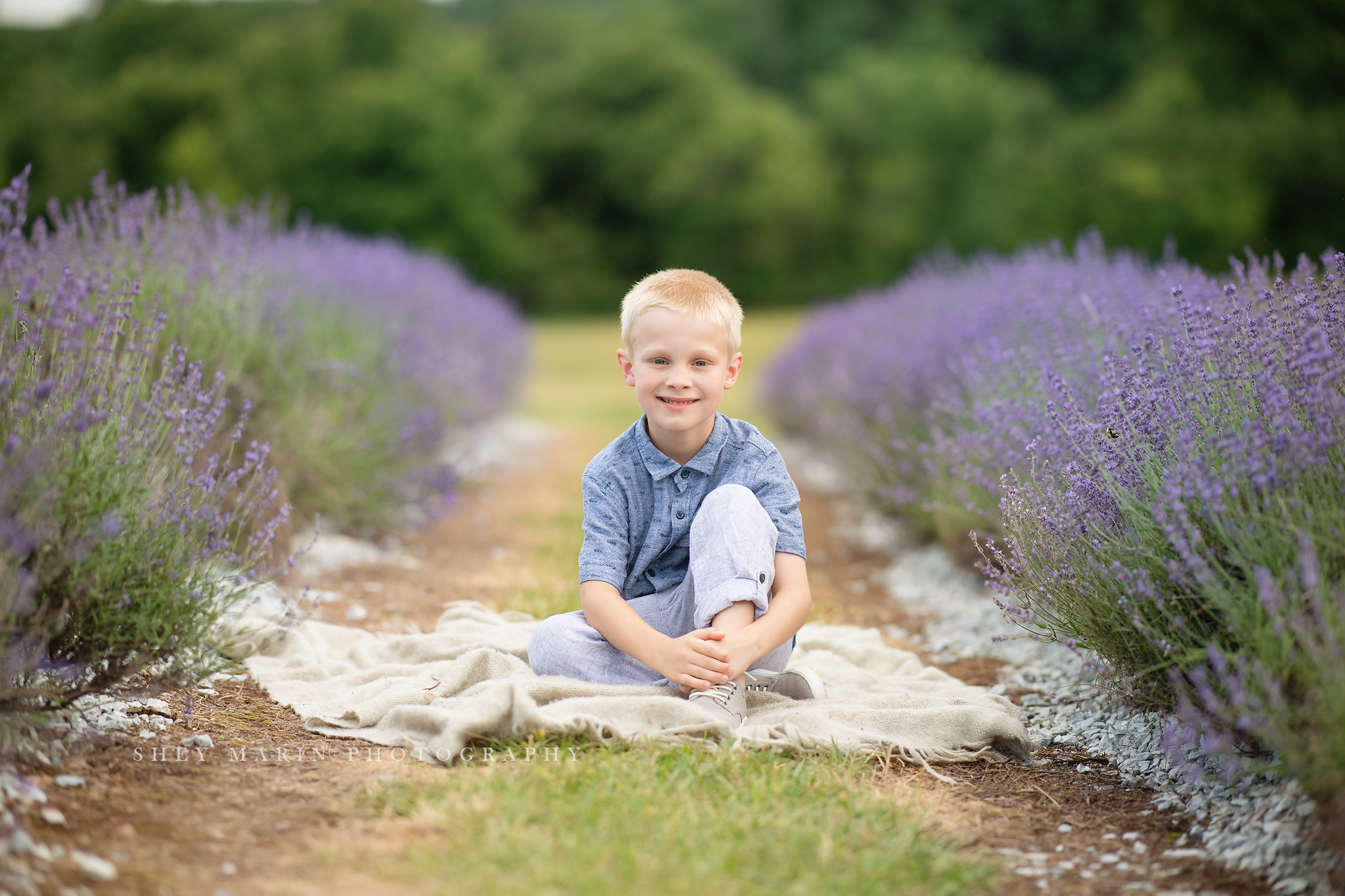 lavender field frederick maryland family photo session