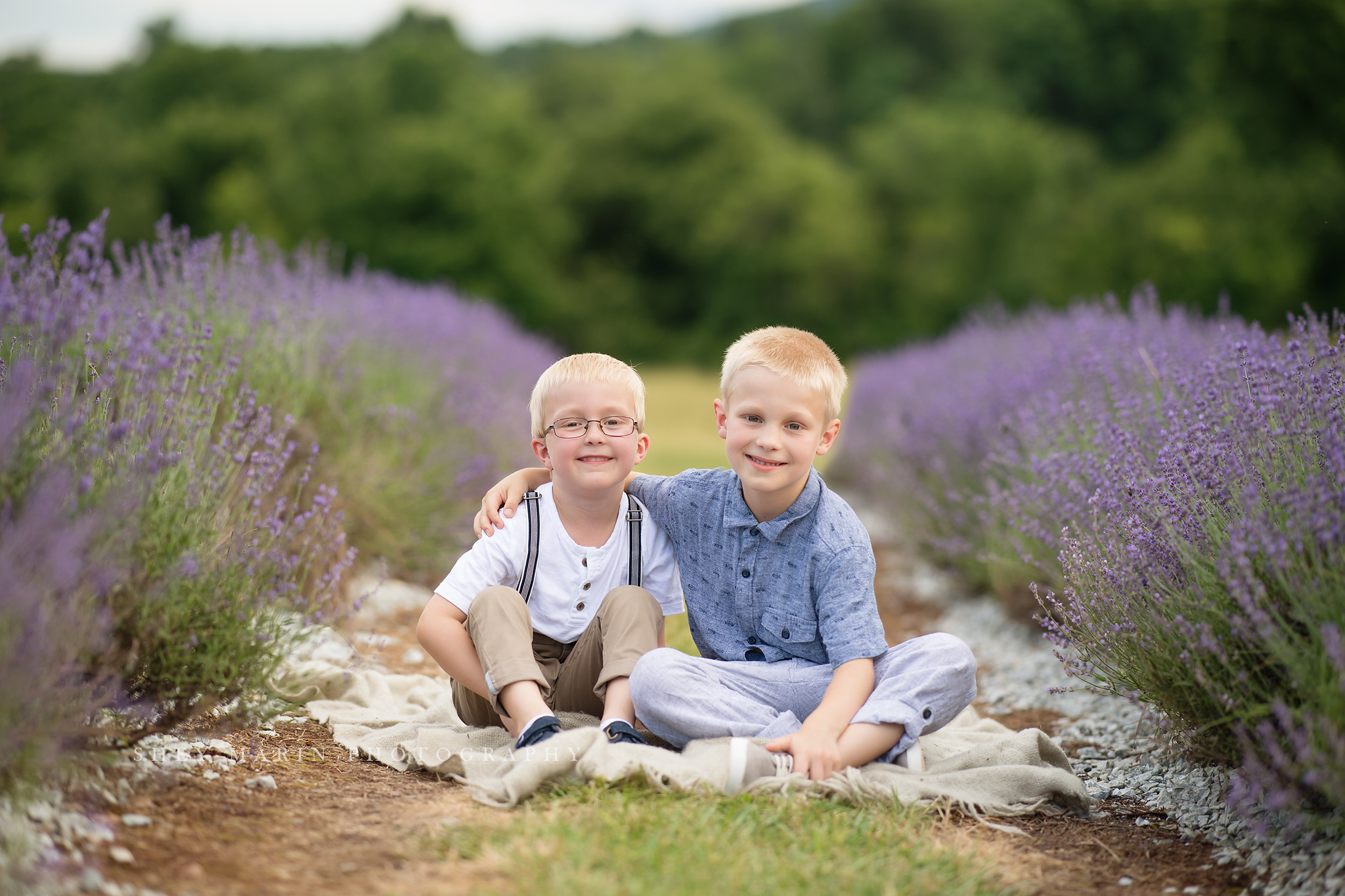 lavender field frederick maryland family photo session