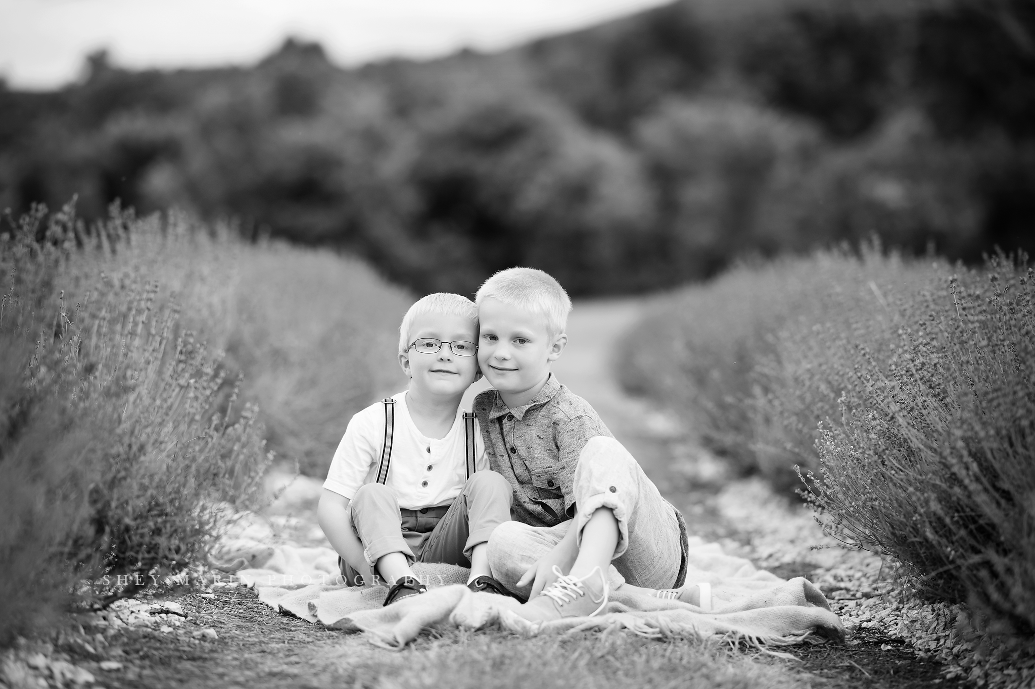 lavender field frederick maryland family photo session