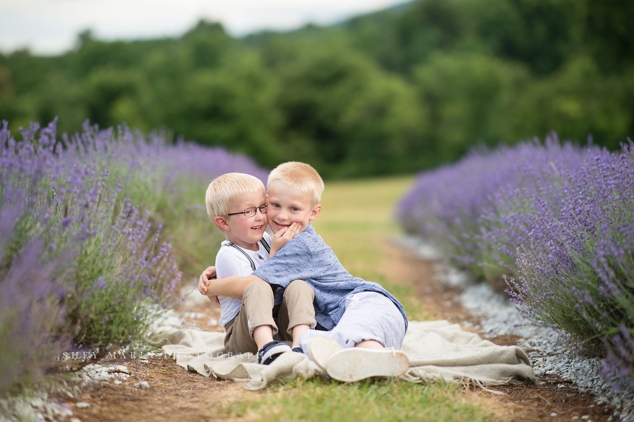 lavender field frederick maryland family photo session