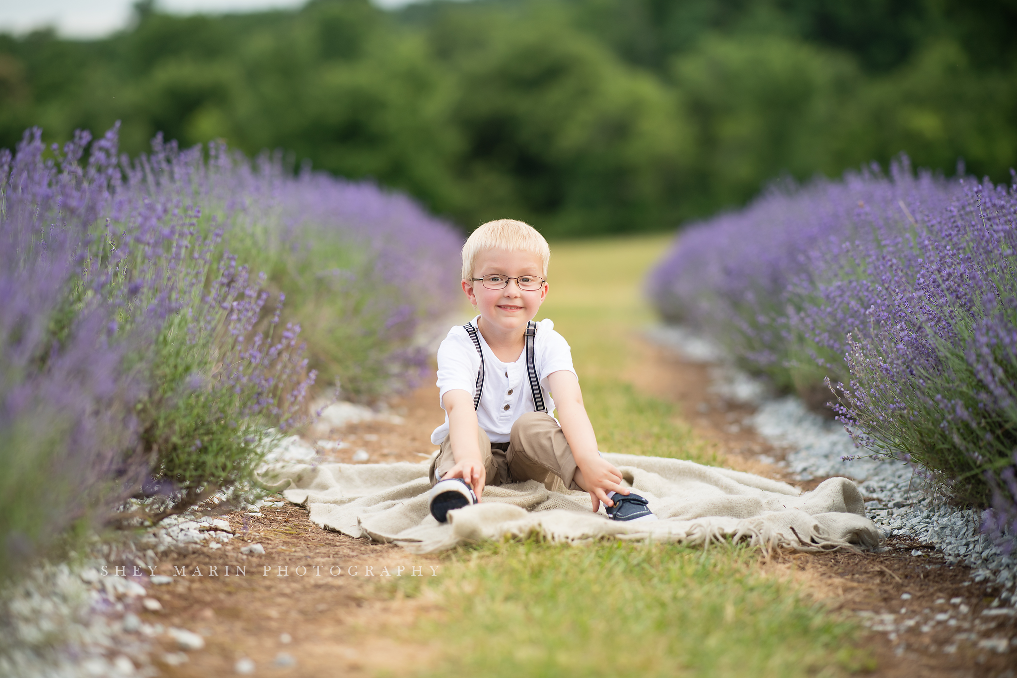 lavender field frederick maryland family photo session