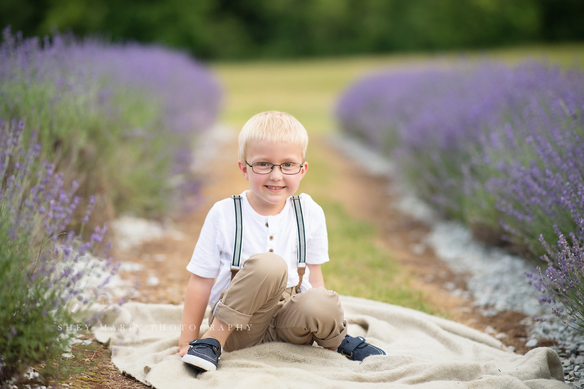 lavender field frederick maryland family photo session