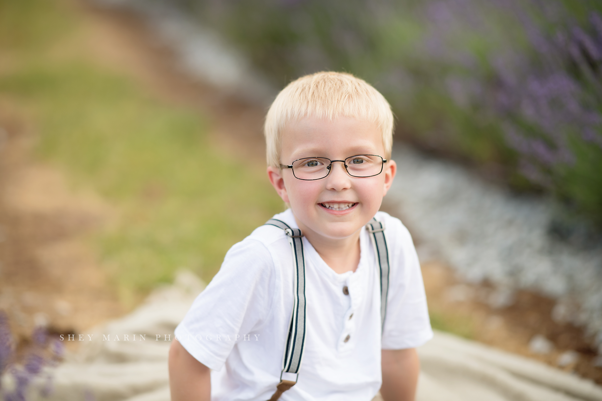 lavender field frederick maryland family photo session