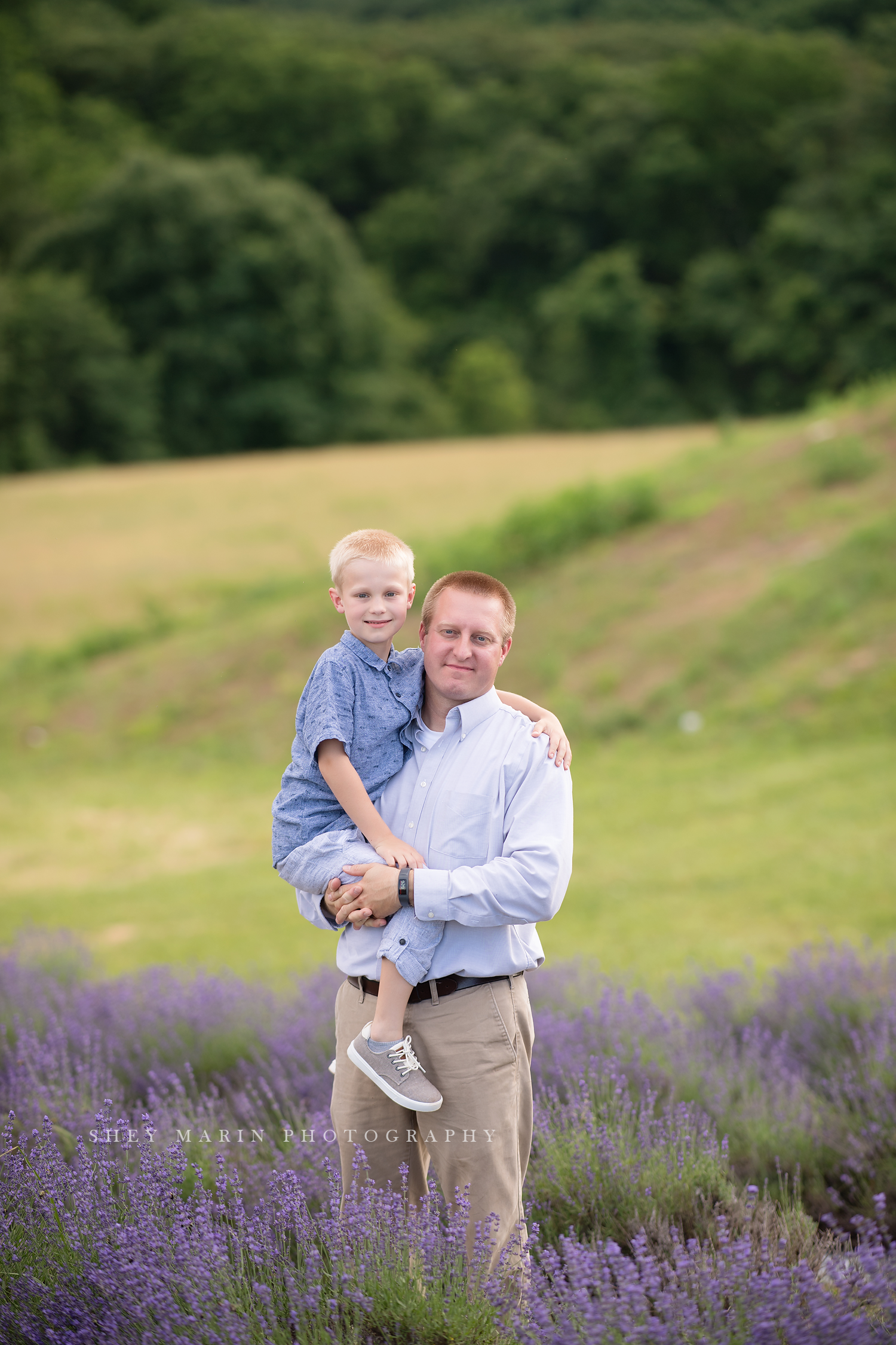 lavender field frederick maryland family photo session