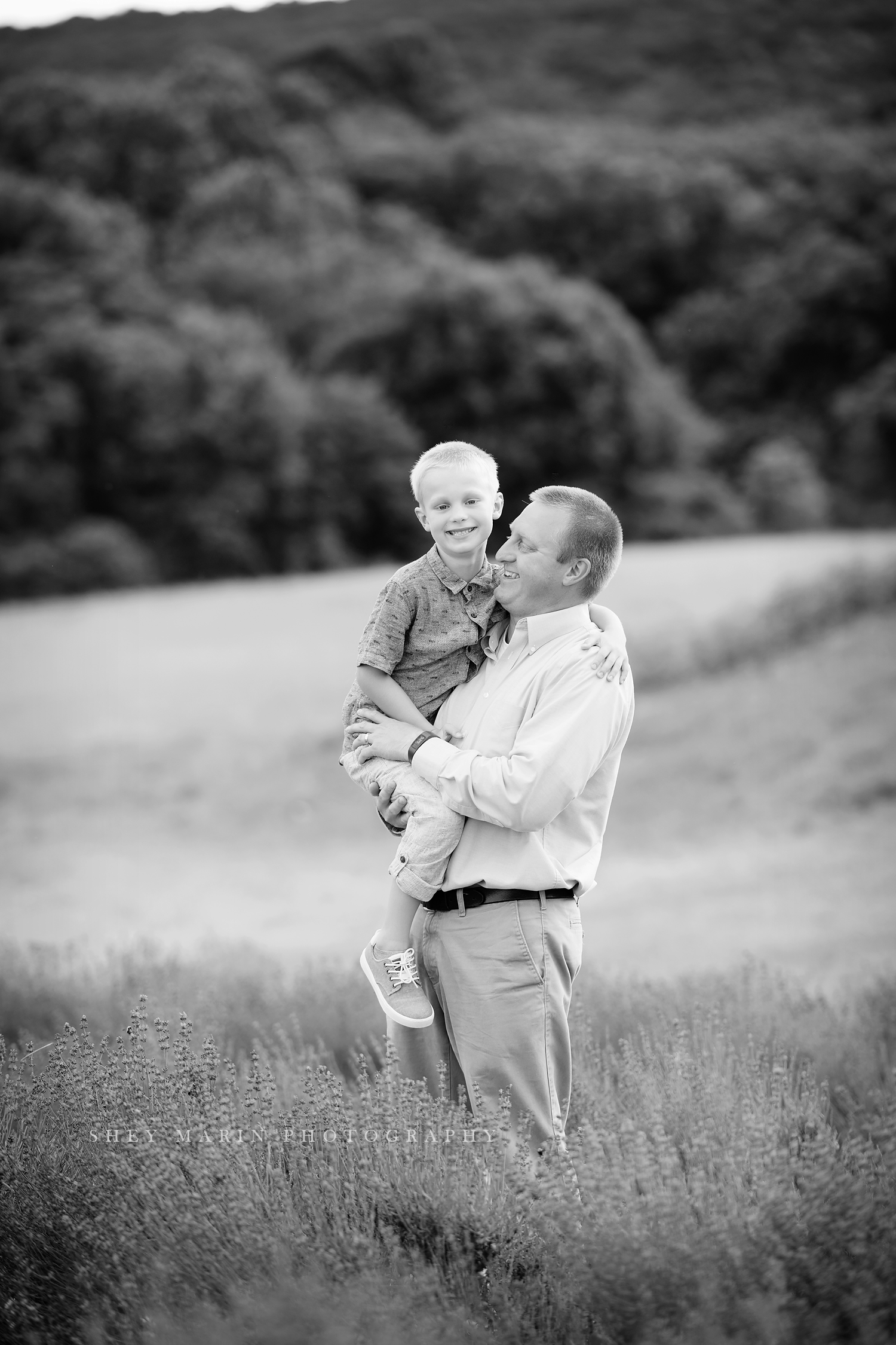 lavender field frederick maryland family photo session