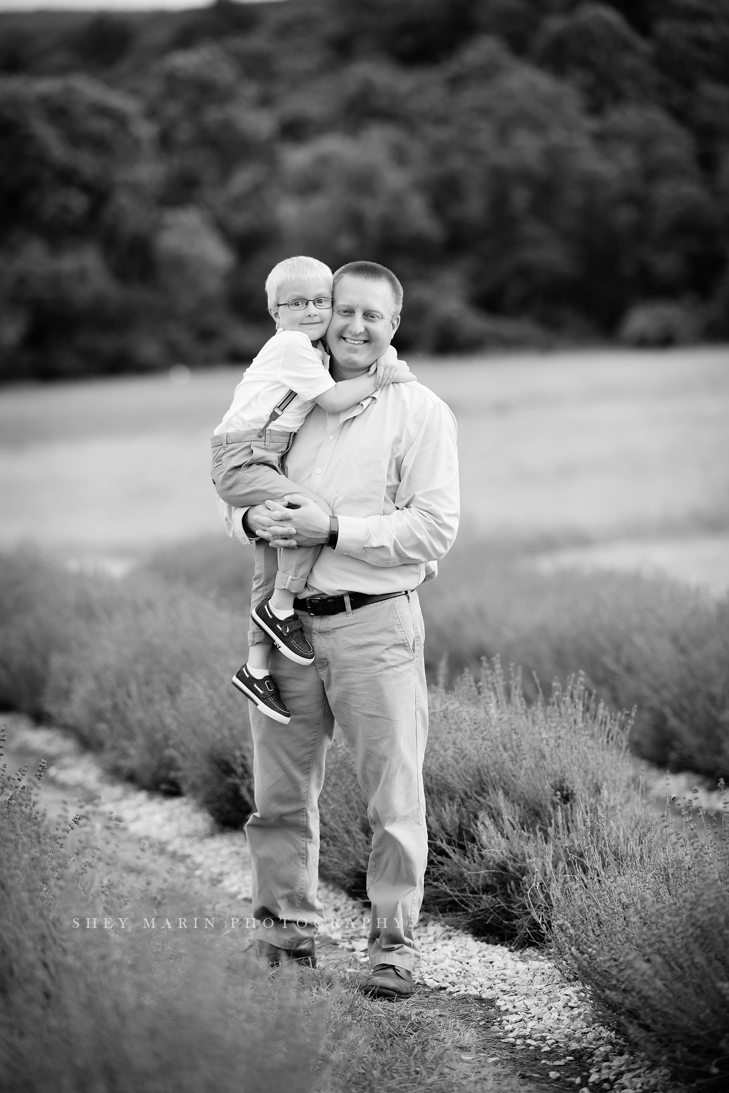 lavender field frederick maryland family photo session