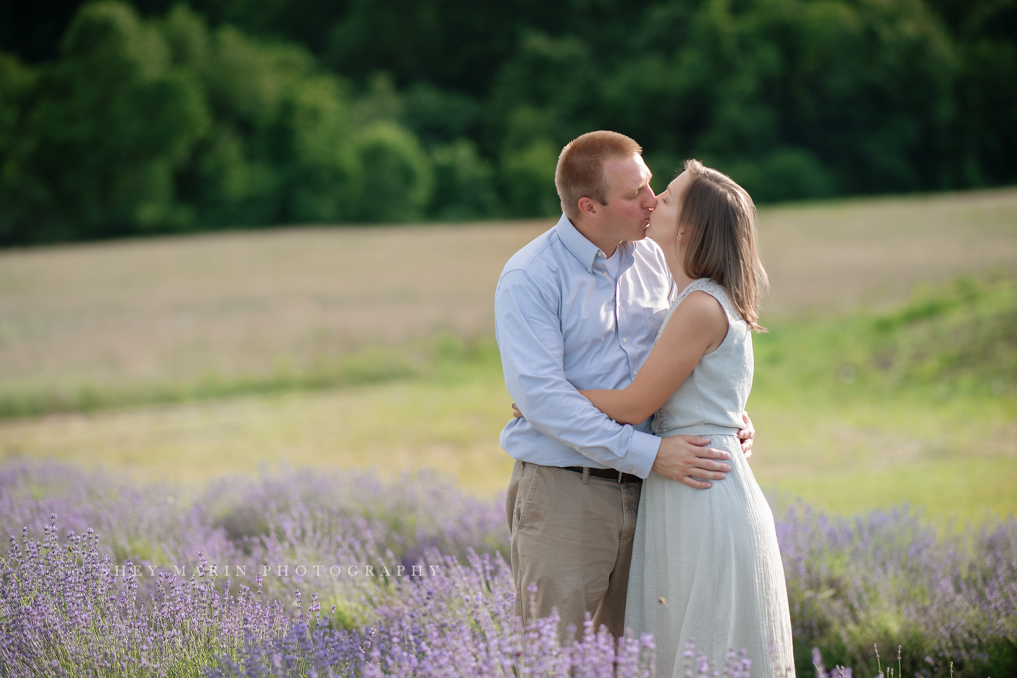 lavender field frederick maryland family photo session