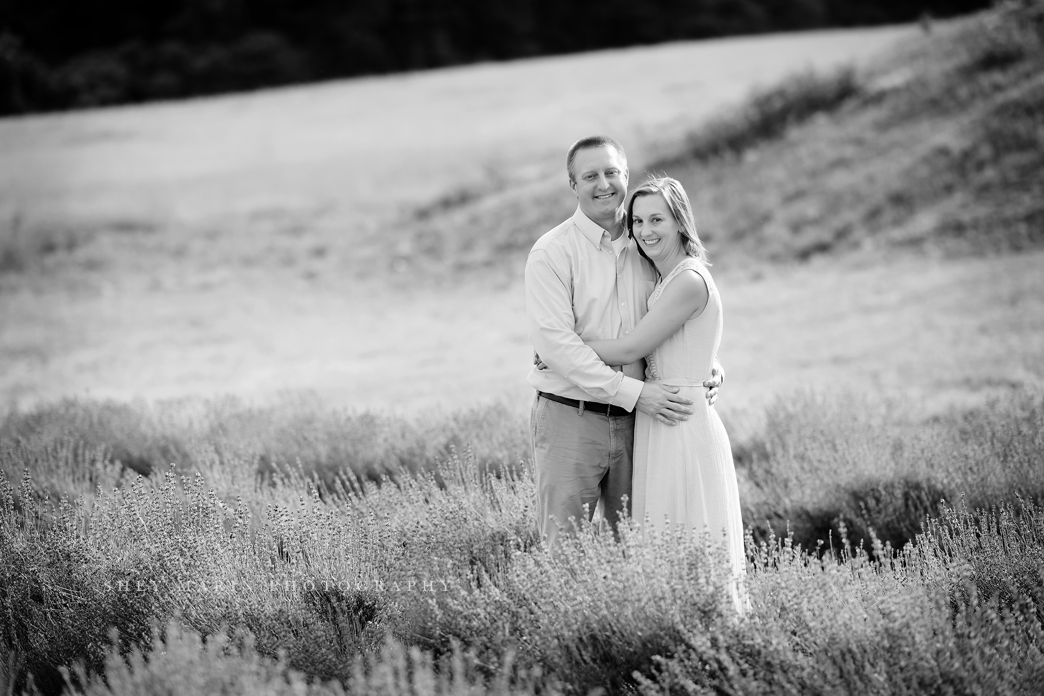 lavender field frederick maryland family photo session