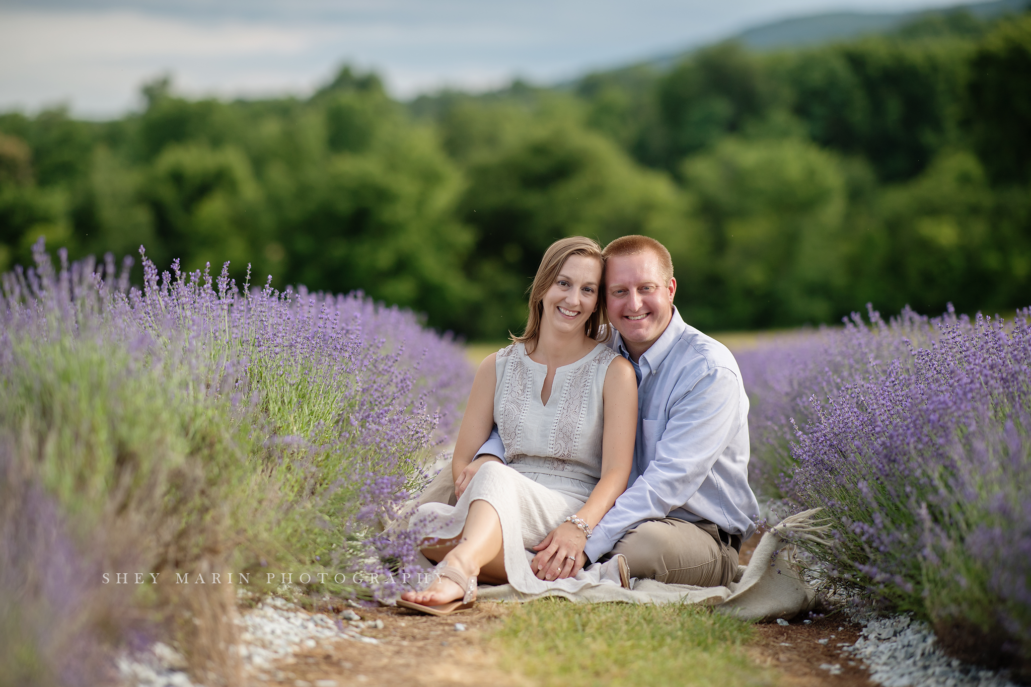 lavender field frederick maryland family photo session