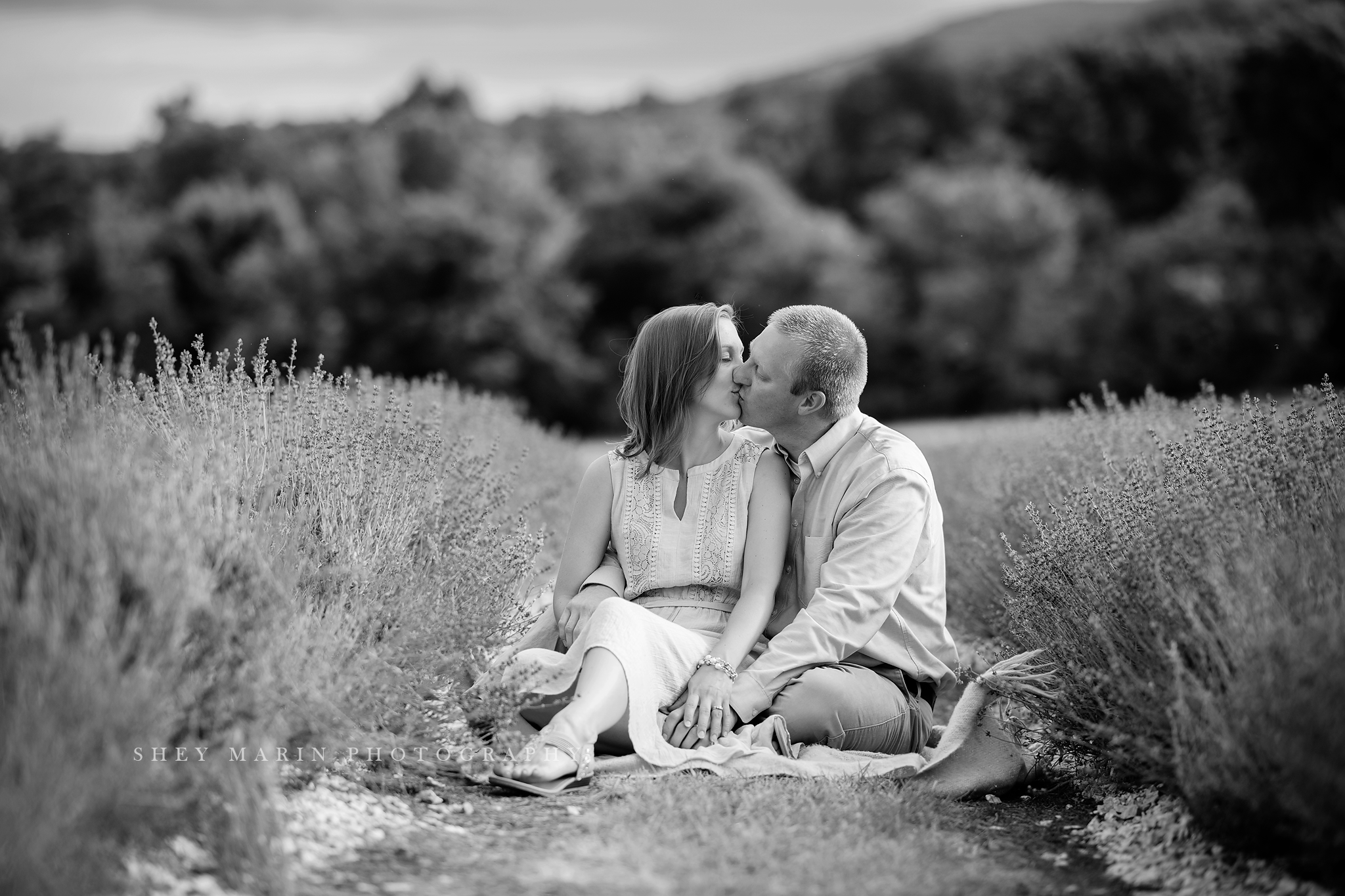 lavender field frederick maryland family photo session