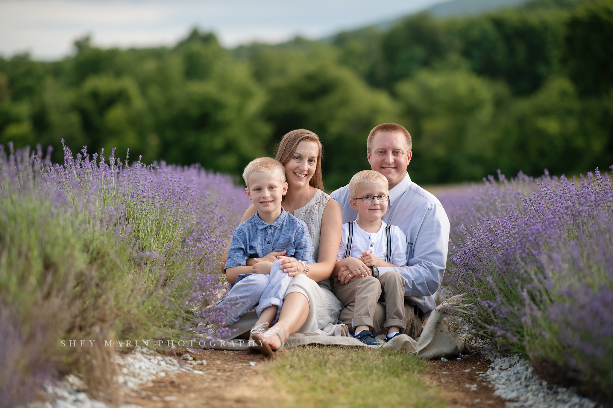 lavender field frederick maryland family photo session