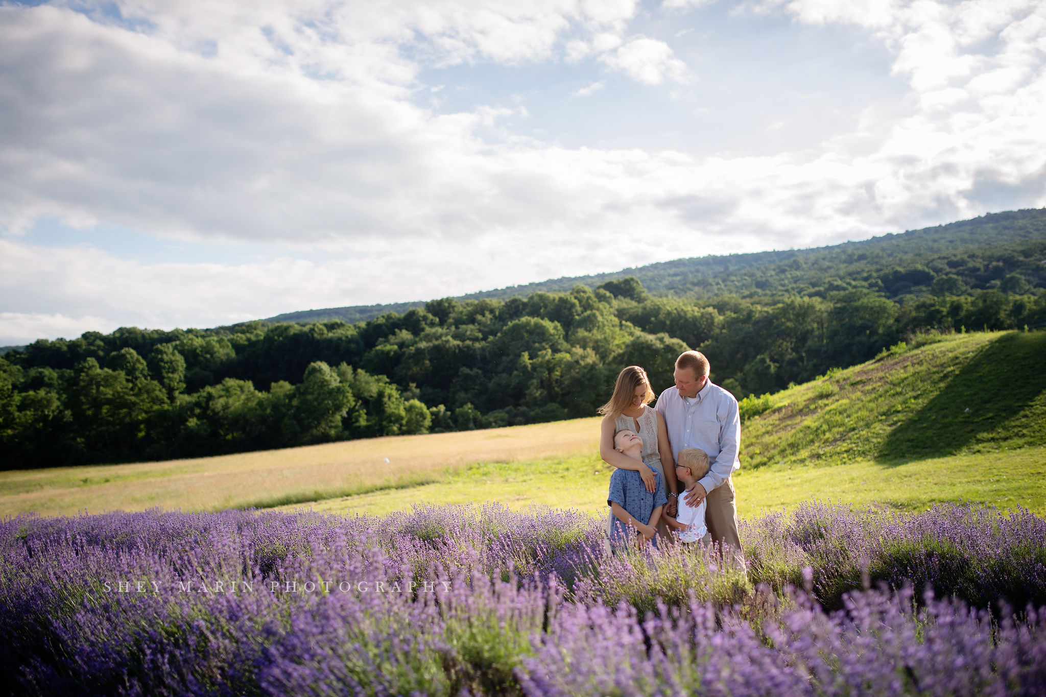 lavender field frederick maryland family photo session