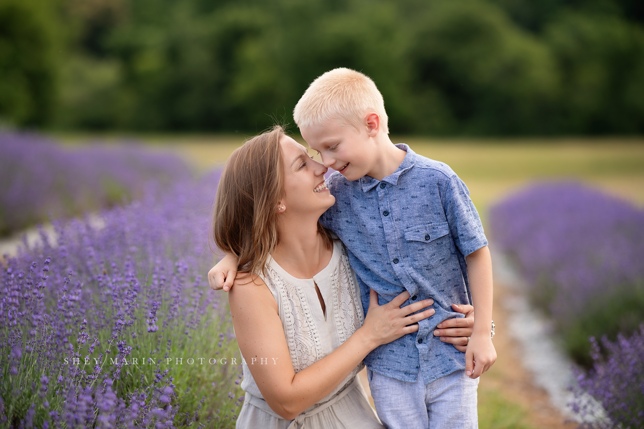 lavender field frederick maryland family photo session