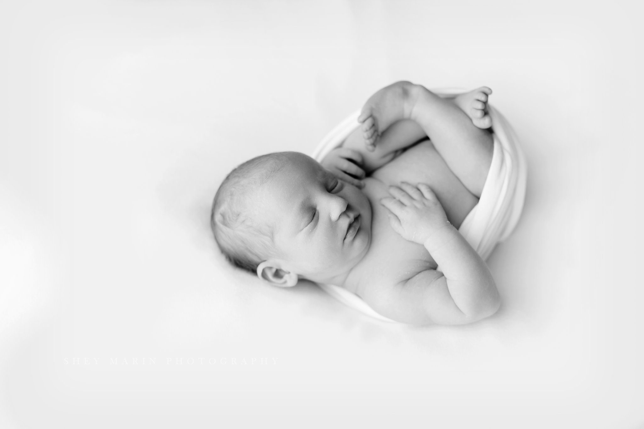 newborn baby studio frederick maryland