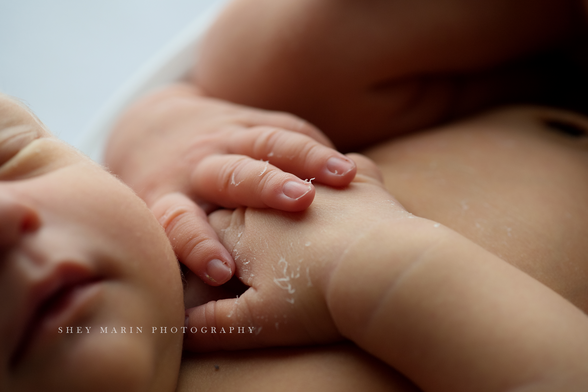 newborn baby studio frederick maryland