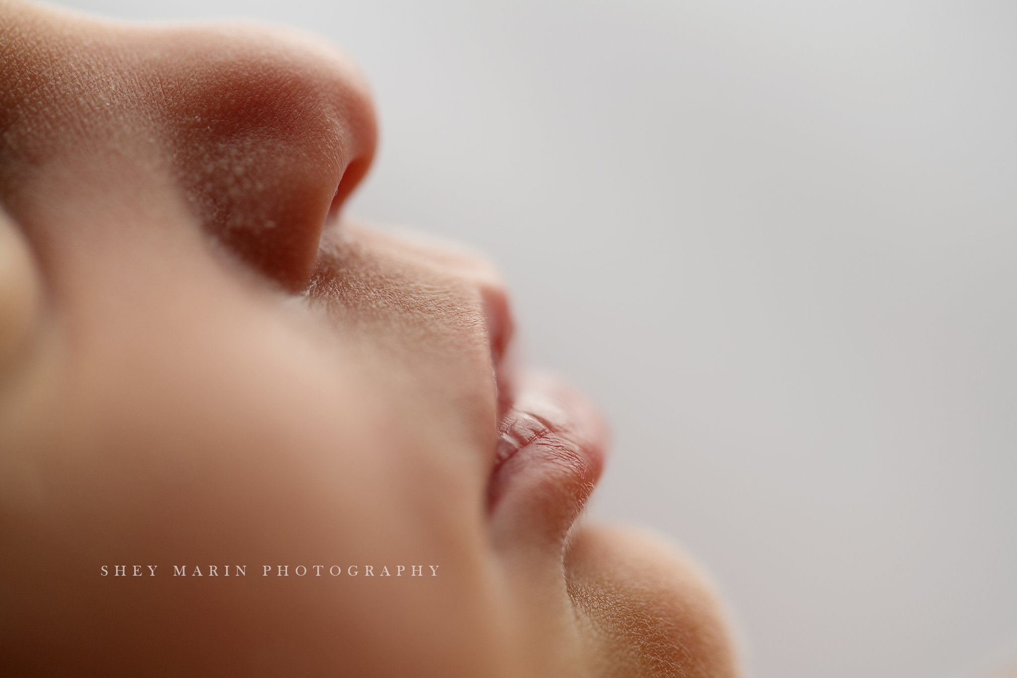 newborn baby studio frederick maryland