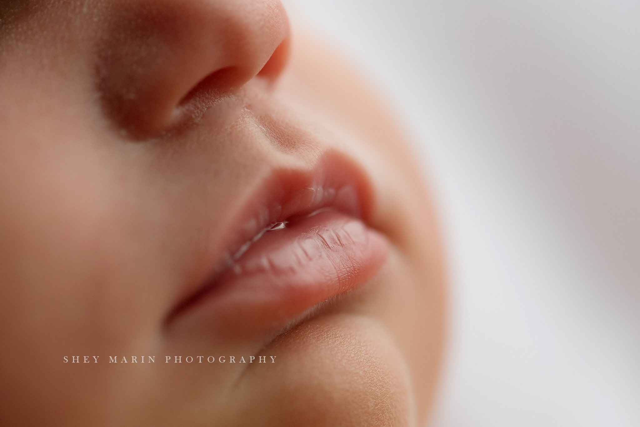 newborn baby studio frederick maryland