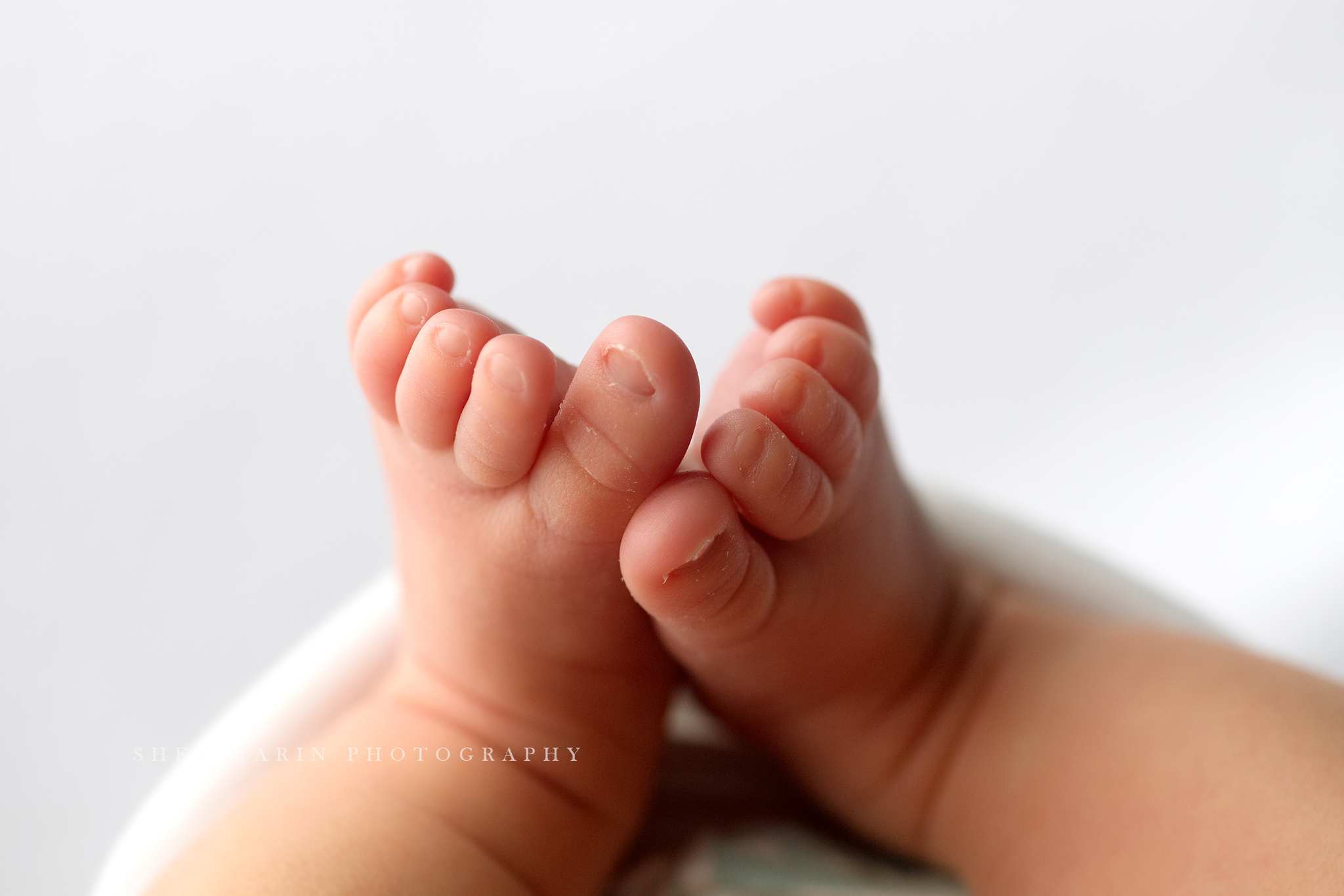 newborn baby studio frederick maryland