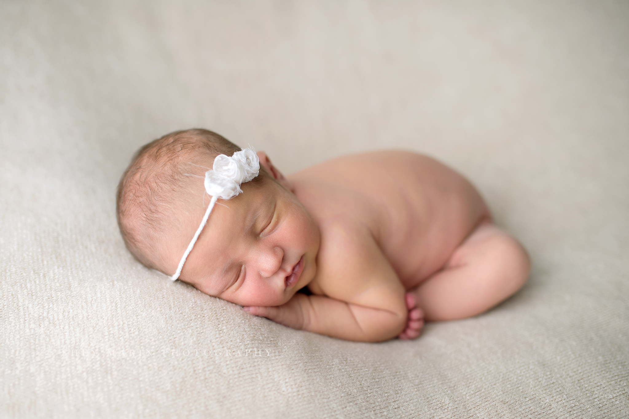 newborn baby studio frederick maryland