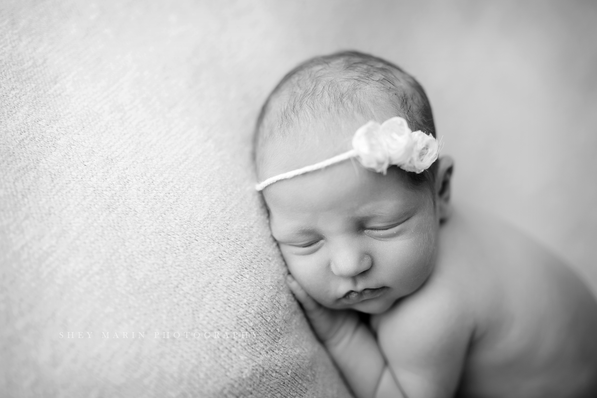 newborn baby studio frederick maryland