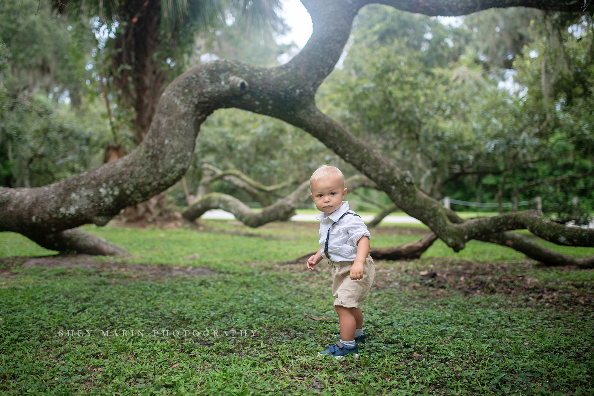 Orlando baby photographer