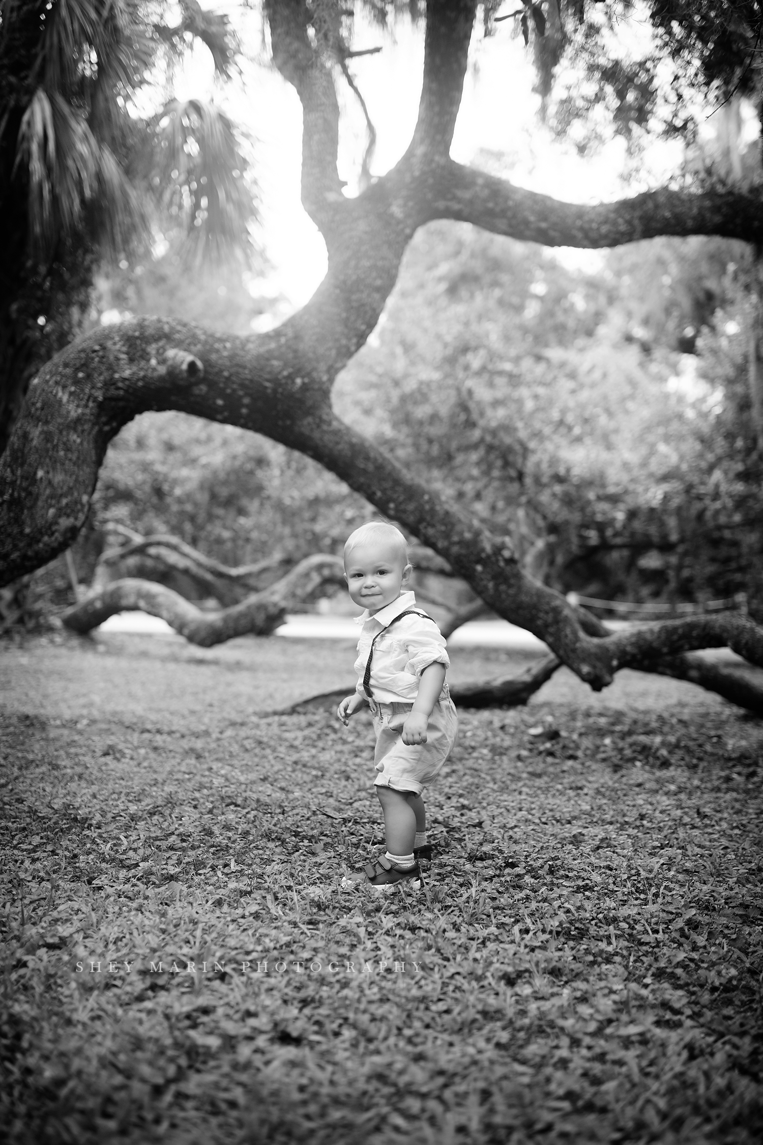 Orlando baby photographer