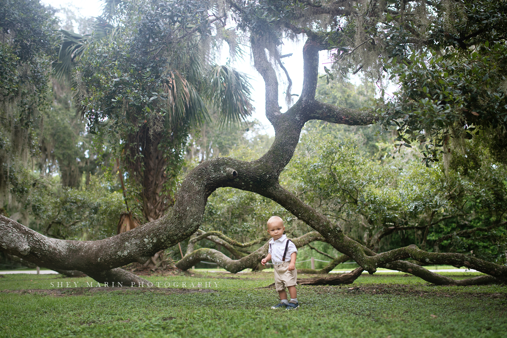 Orlando baby photographer