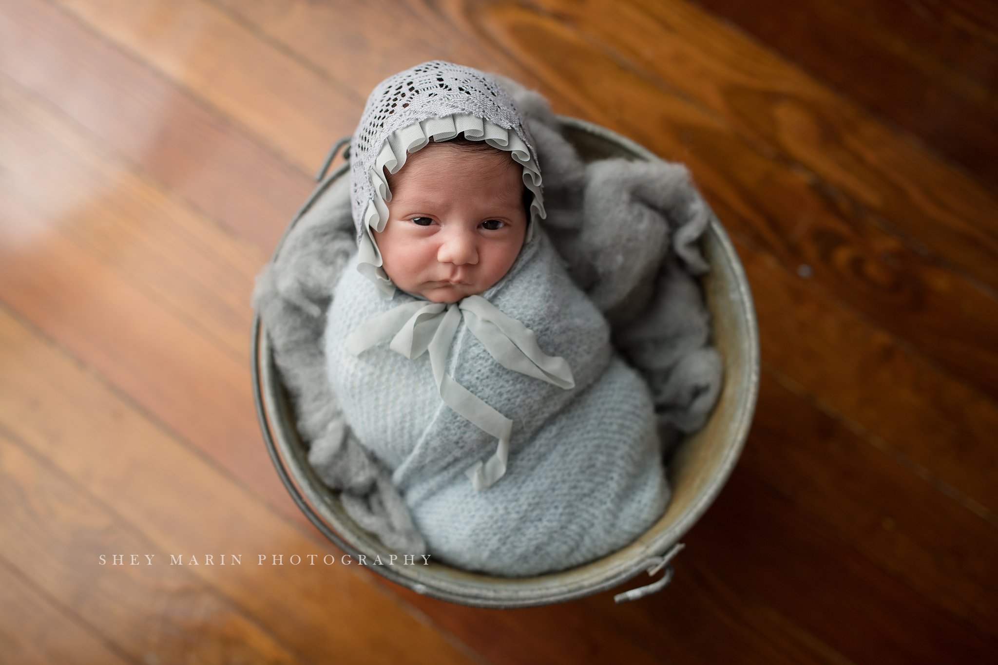 baby girl frederick newborn photographer