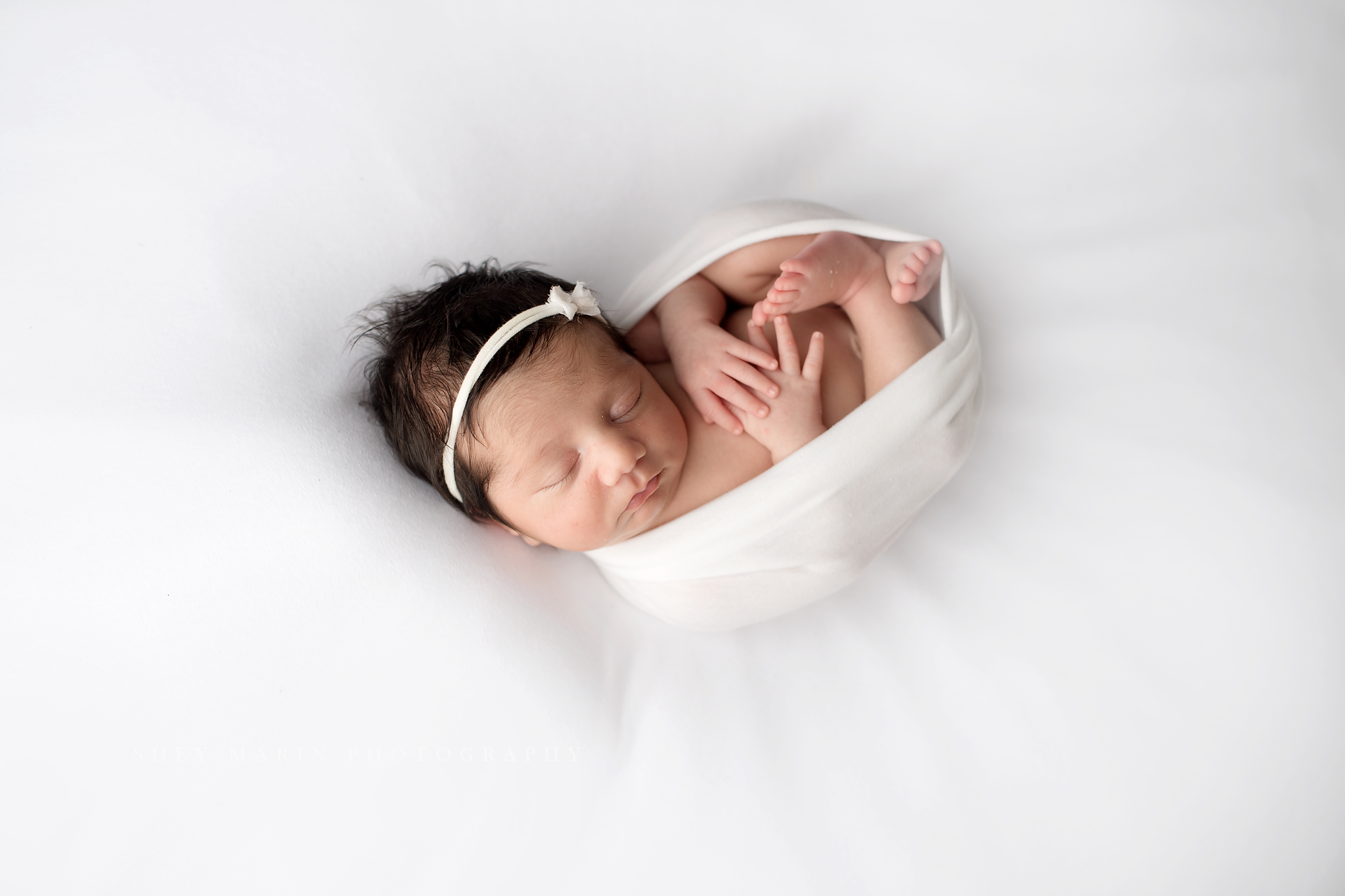 baby girl frederick newborn photographer