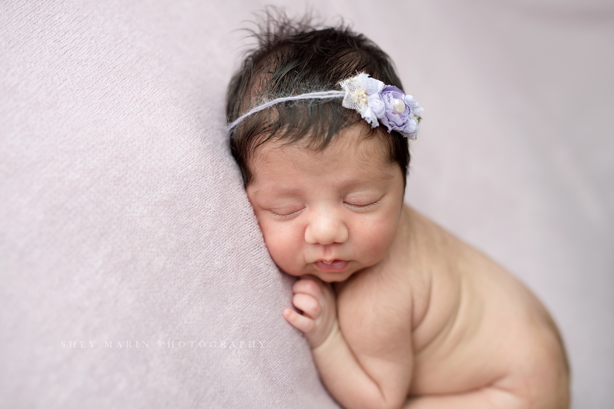 baby girl frederick newborn photographer