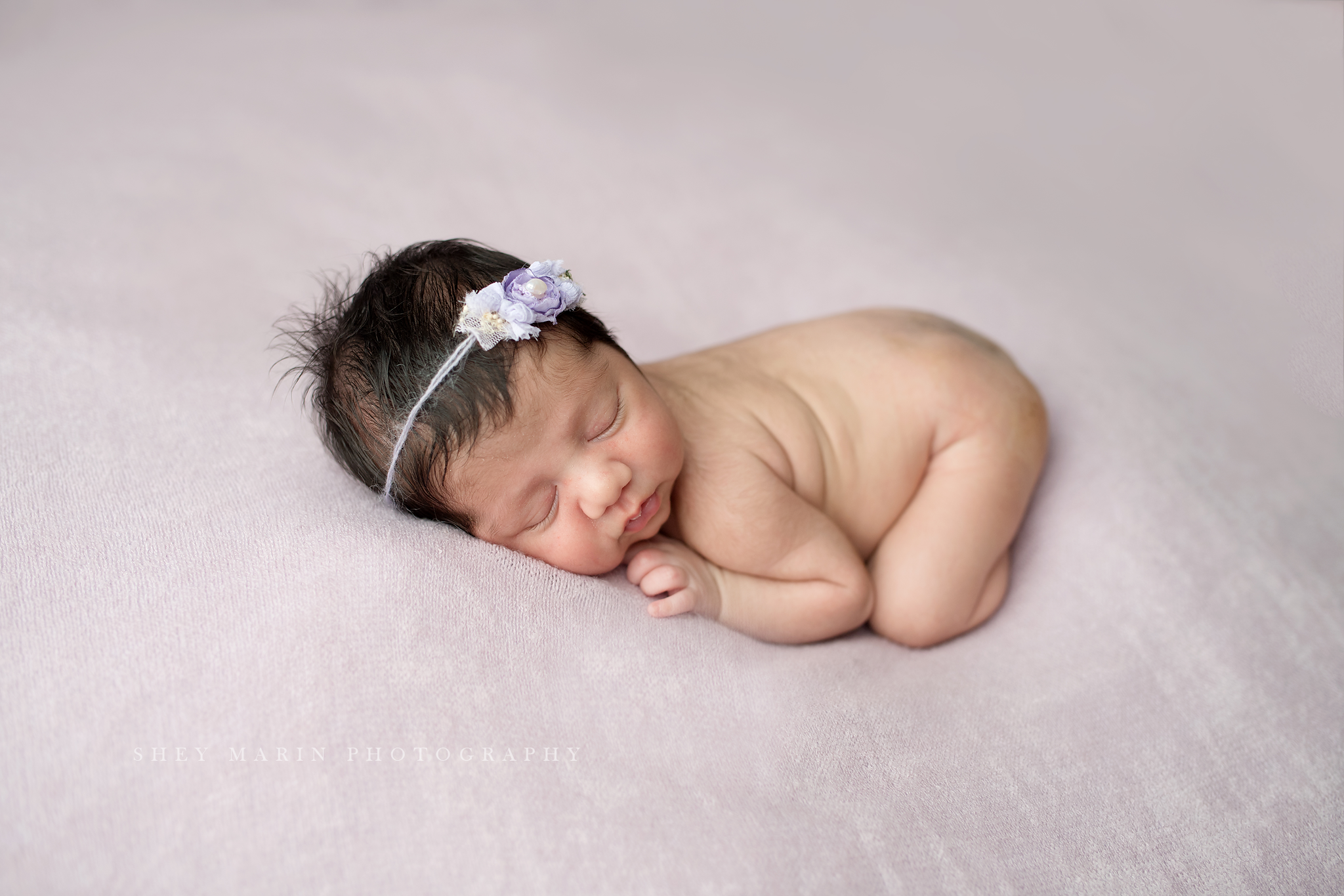 baby girl frederick newborn photographer