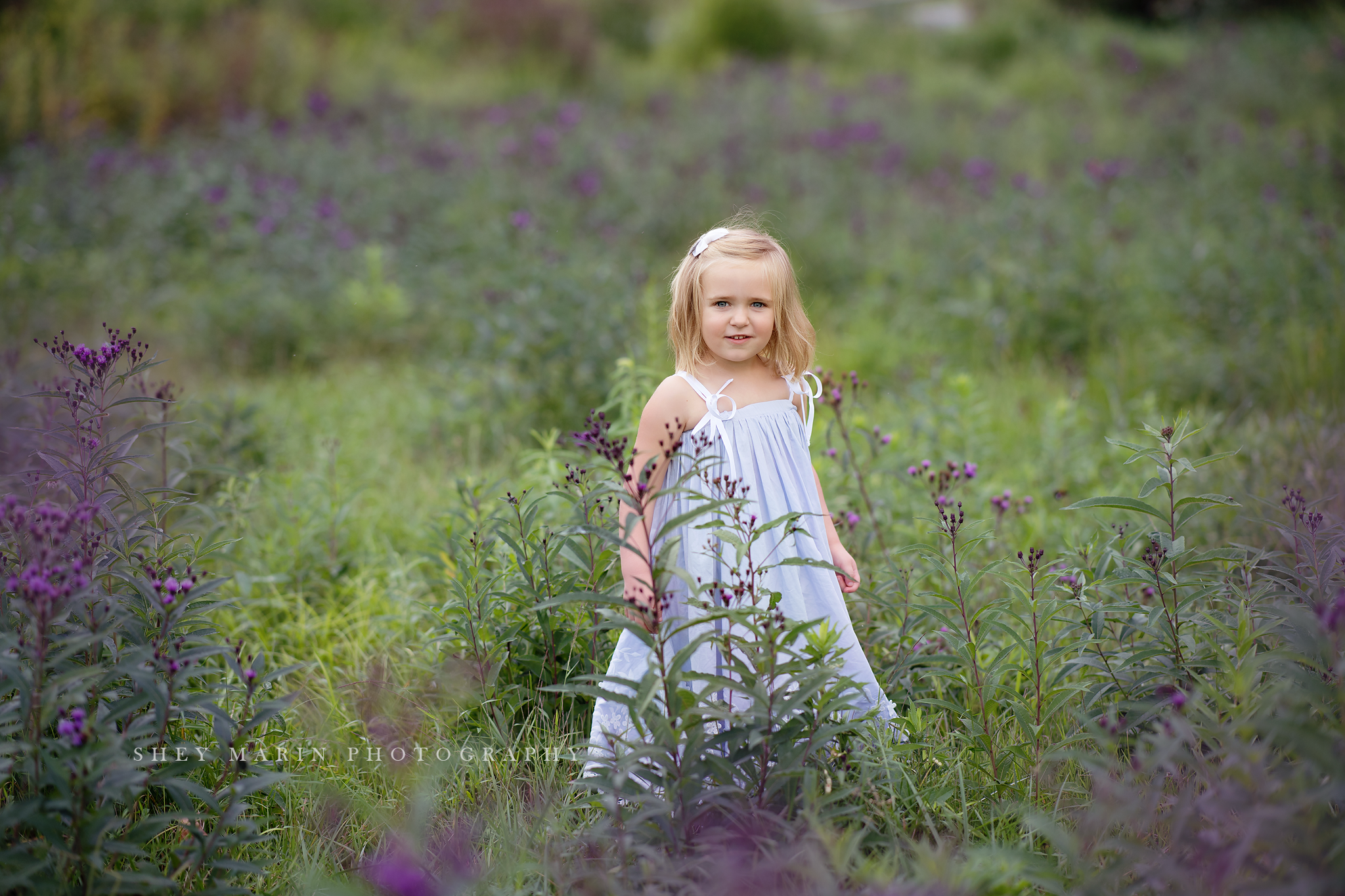 wildflower purple family photosession frederick maryland