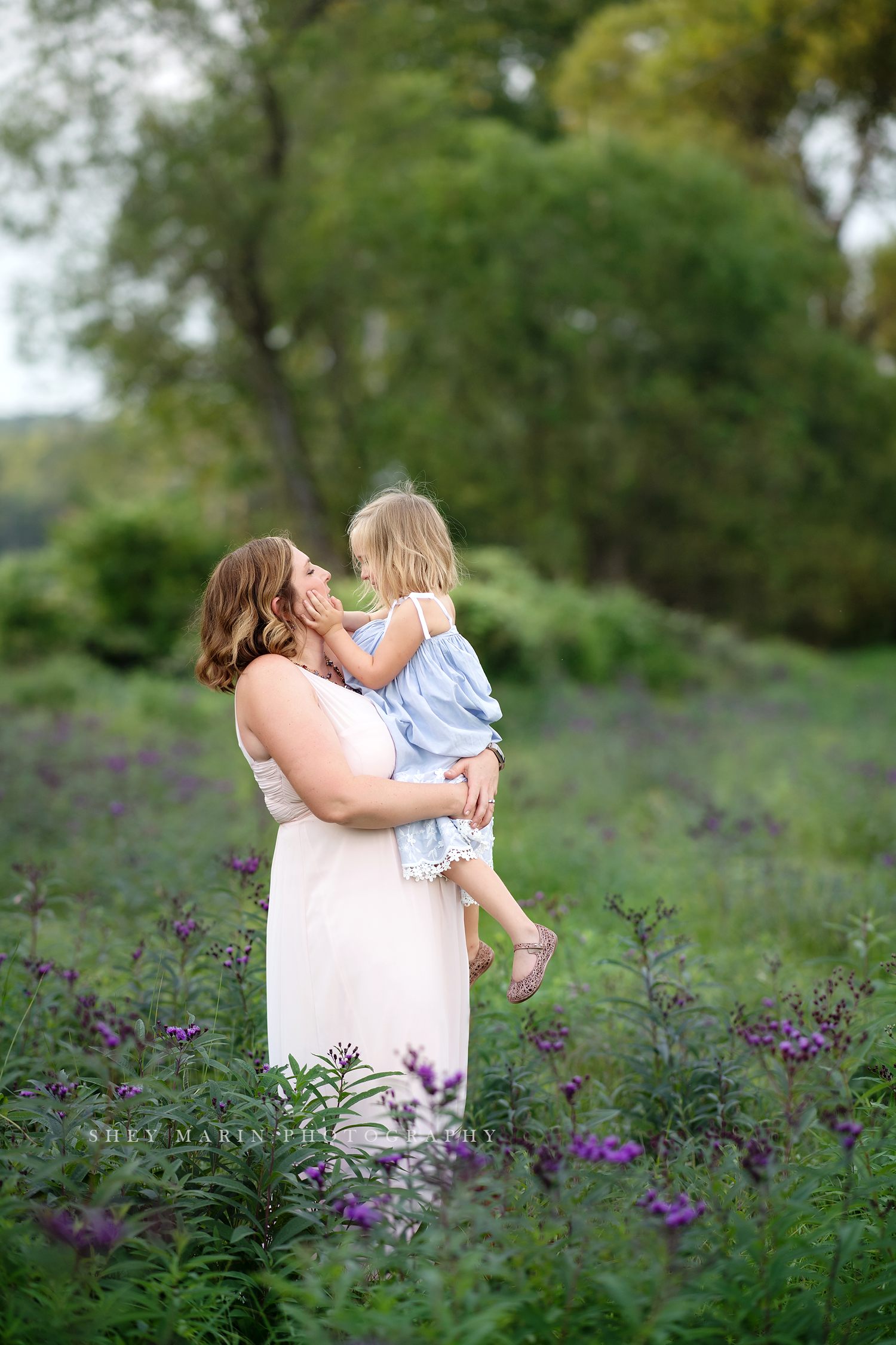 wildflower purple family photosession frederick maryland