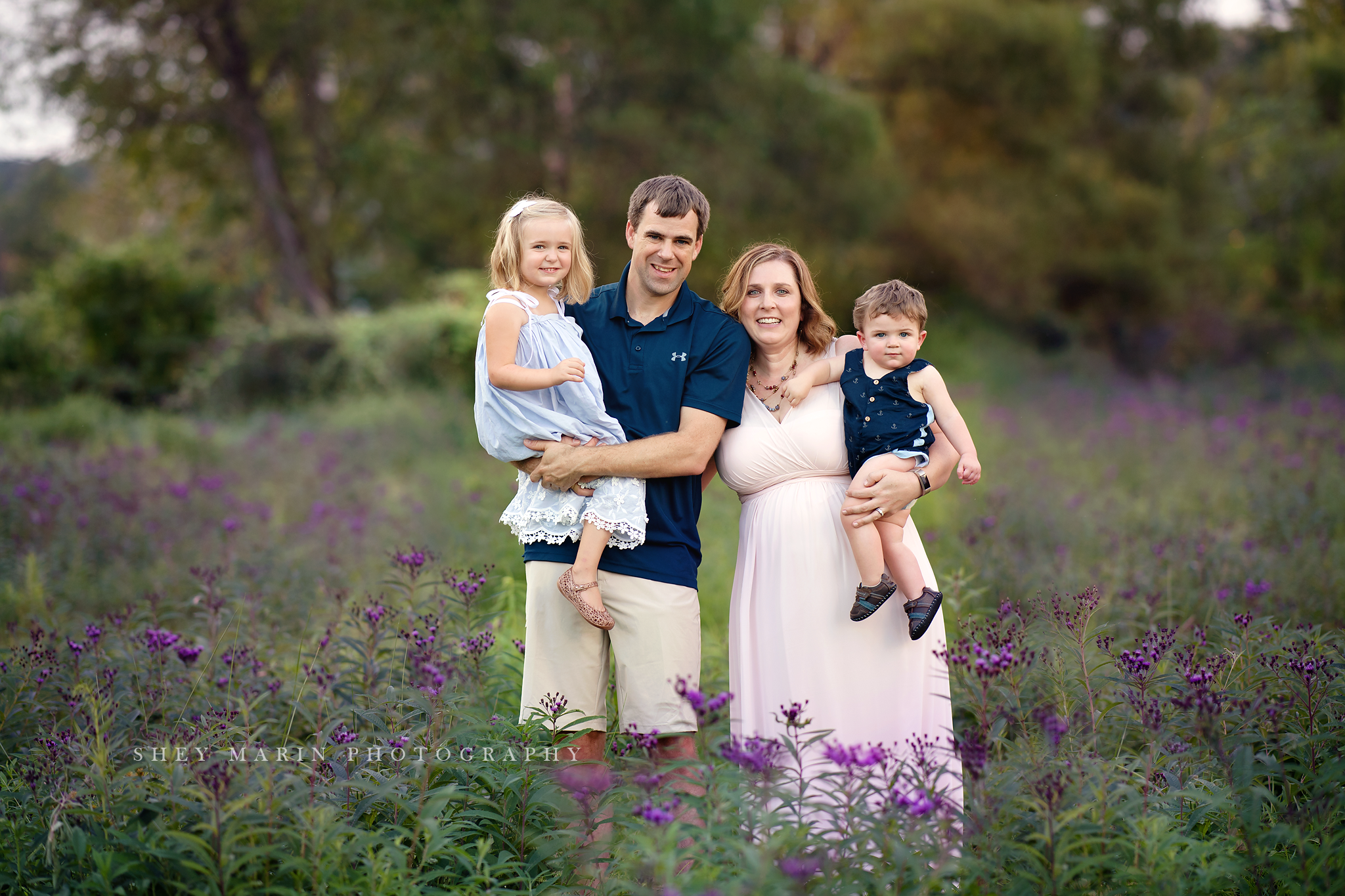 wildflower purple family photosession frederick maryland