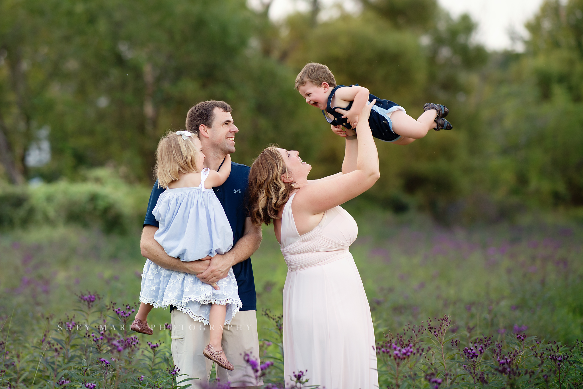 wildflower purple family photosession frederick maryland