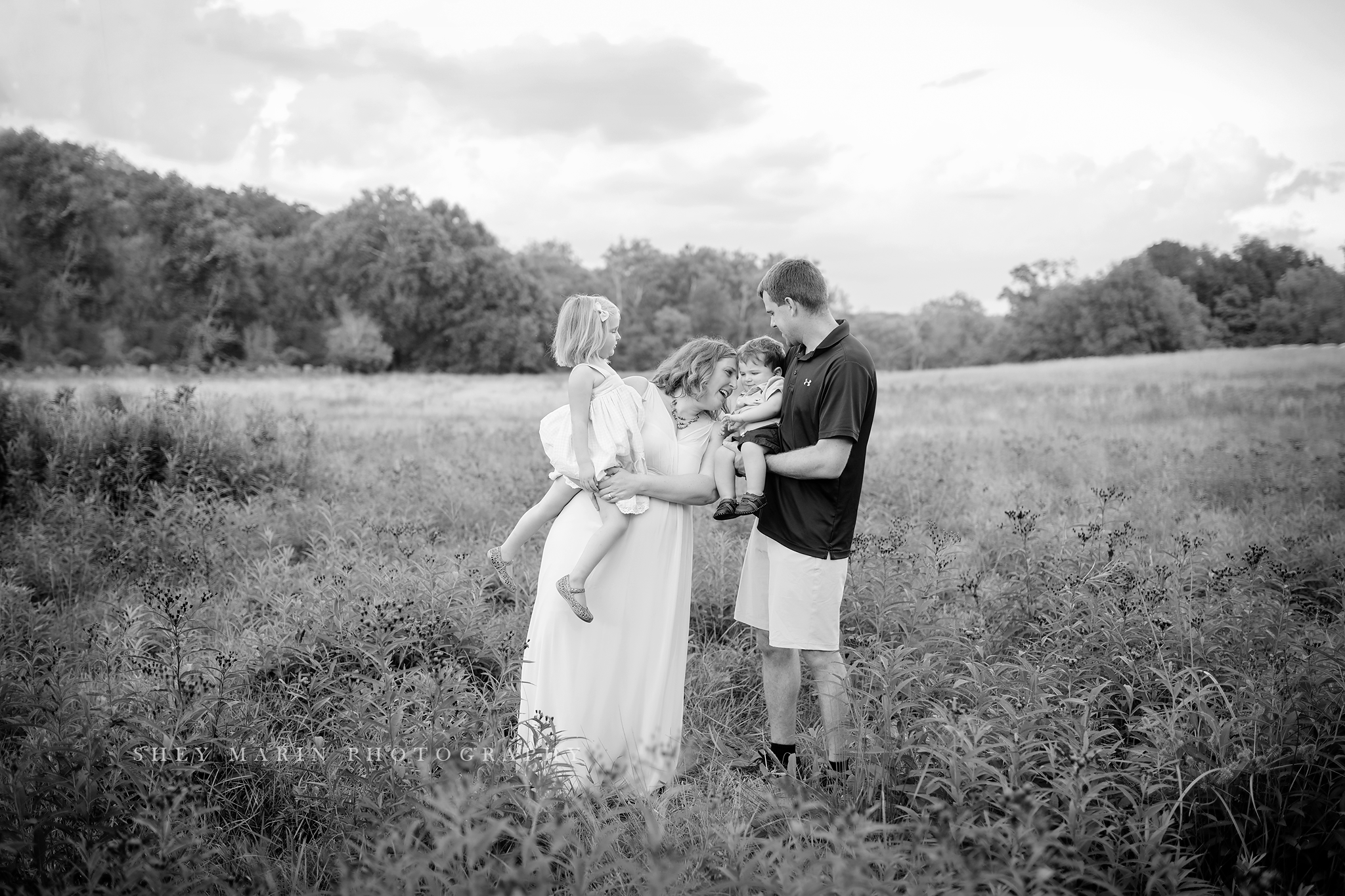 wildflower purple family photosession frederick maryland