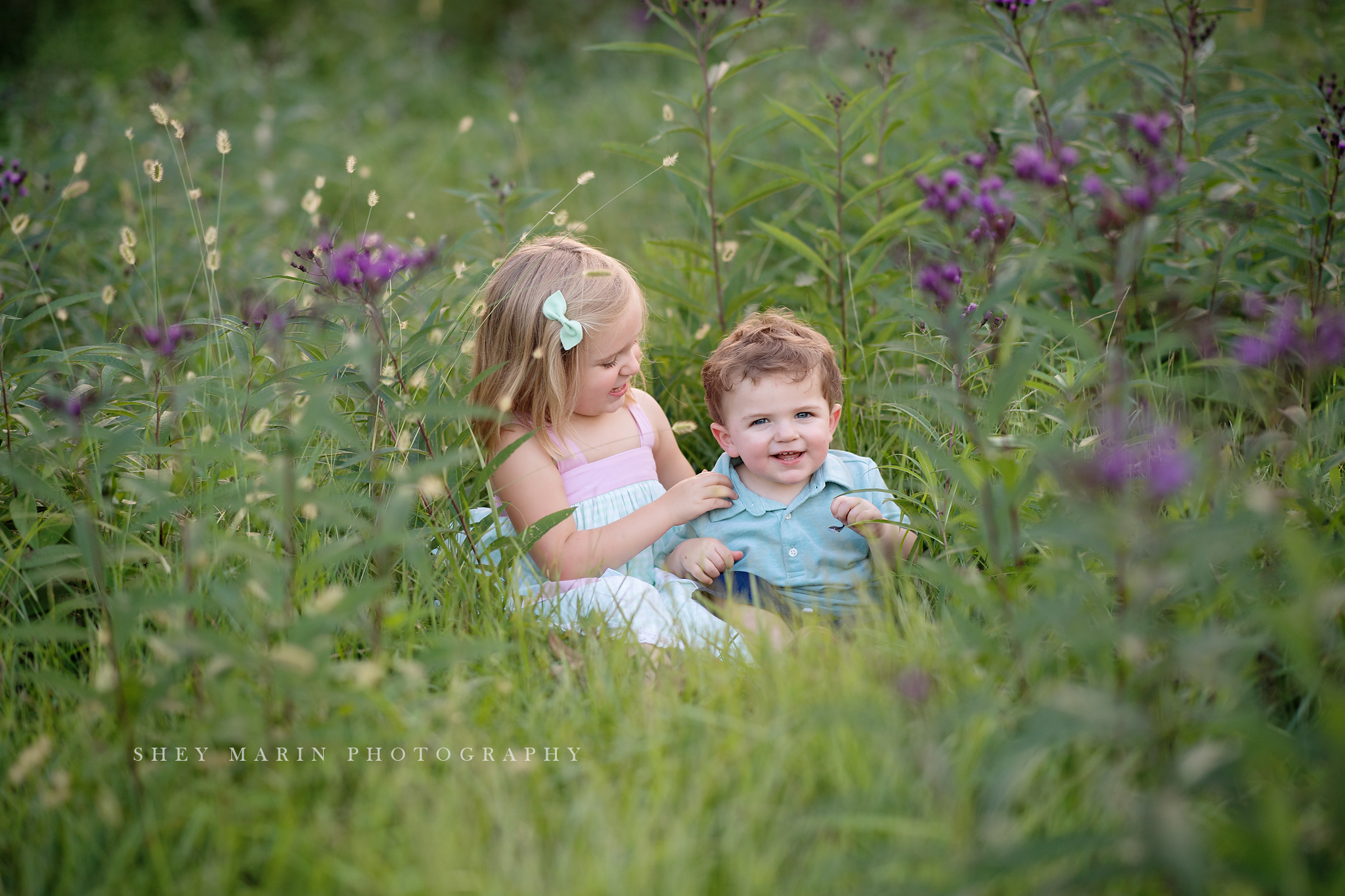 wildflower purple family photosession frederick maryland
