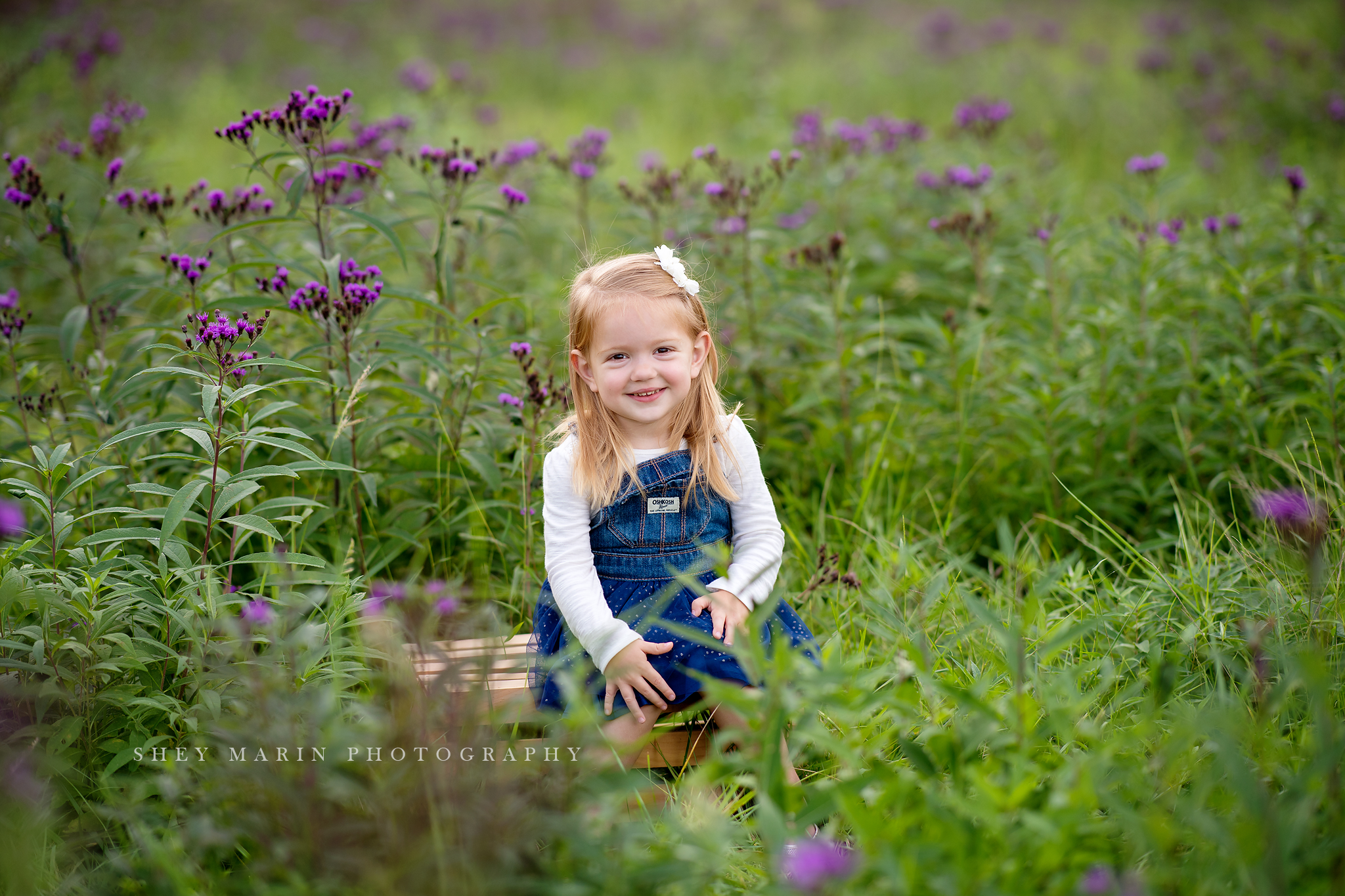 wildflowers and sisters Maryland family photographer