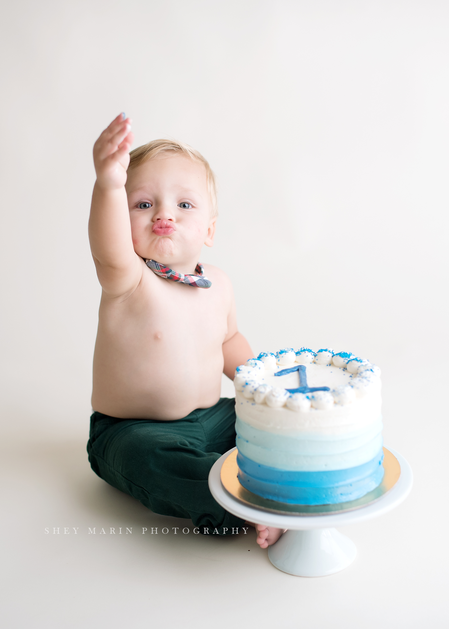 cake smash washington DC baby photographer