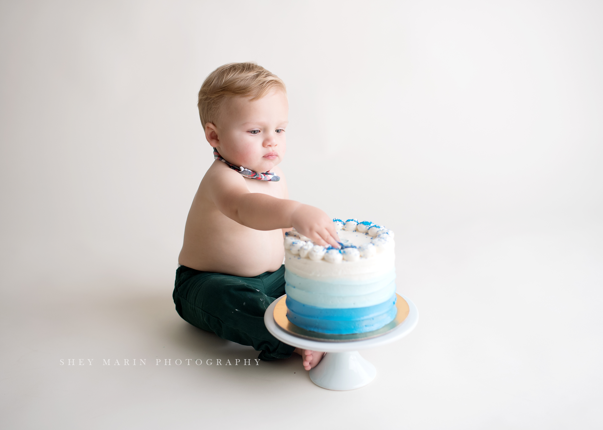 cake smash washington DC baby photographer