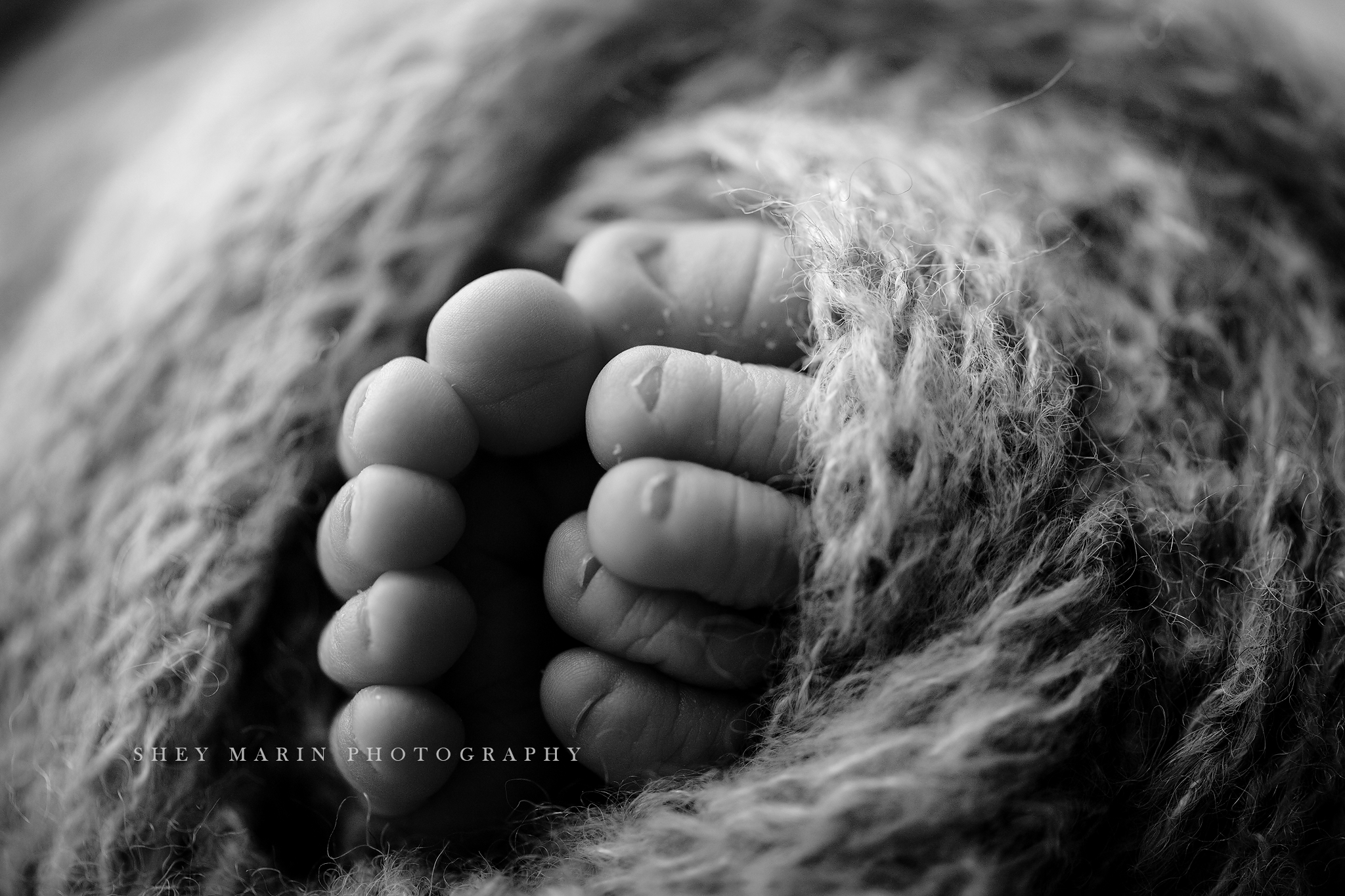 Washington DC adorable newborn photographer