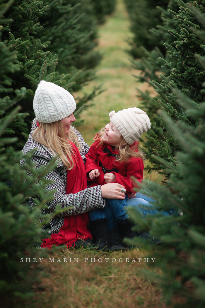 tree farm mini session promo