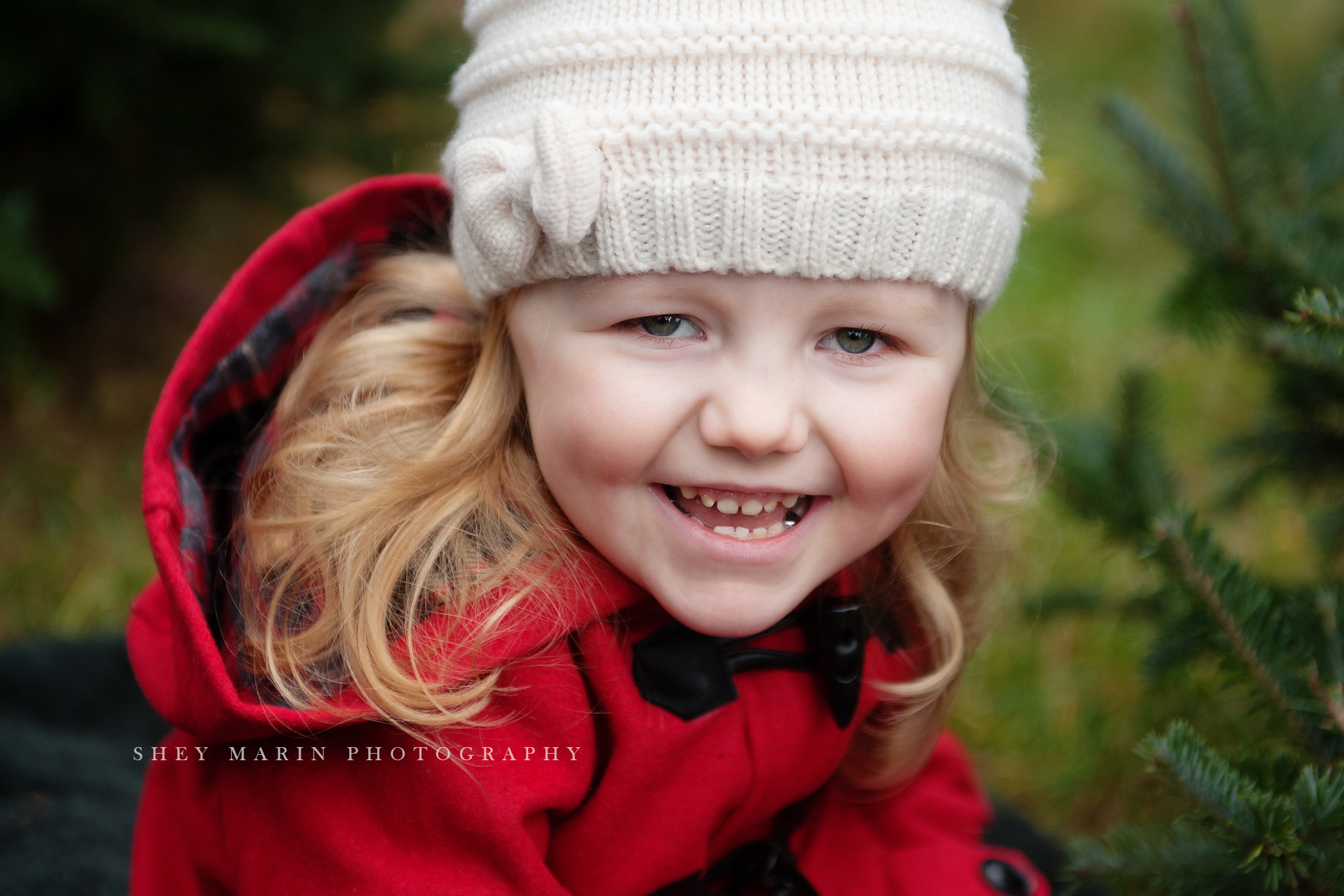 fall mini session