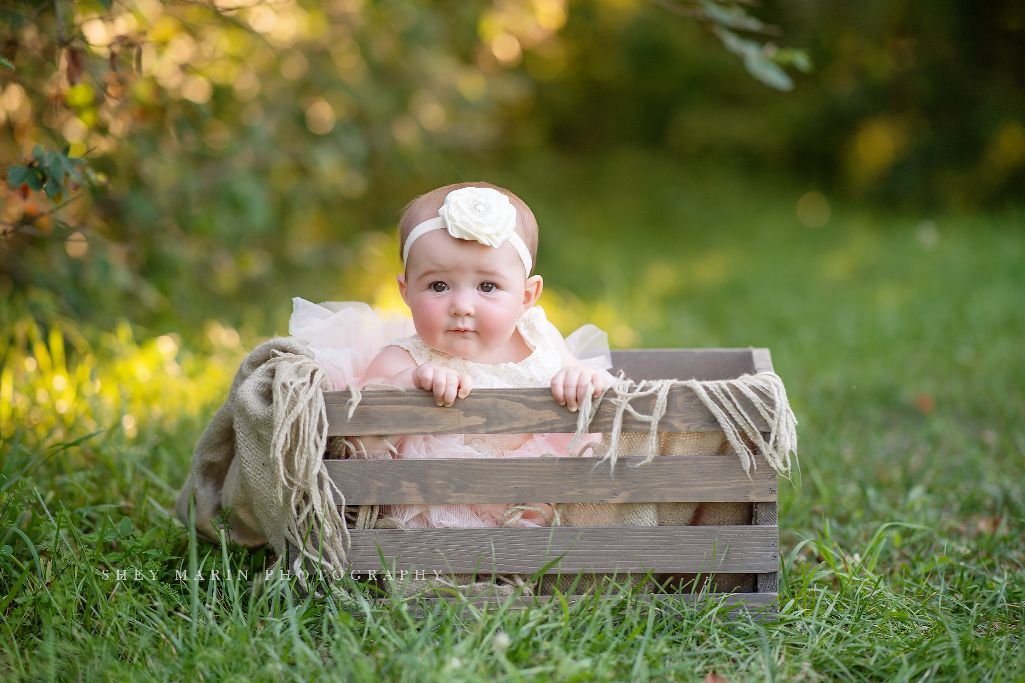 golden hour family photosession frederick maryland